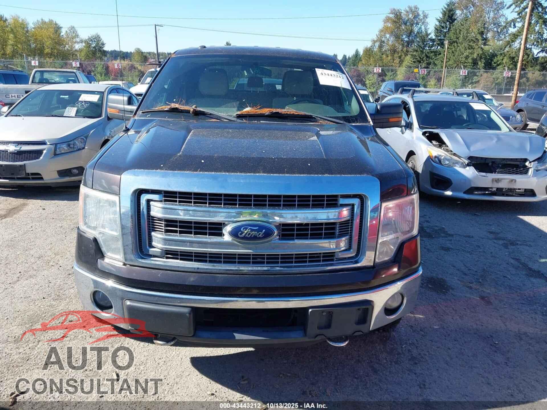 FORD F-150 2013 - 1FTFW1ET5DFA82005