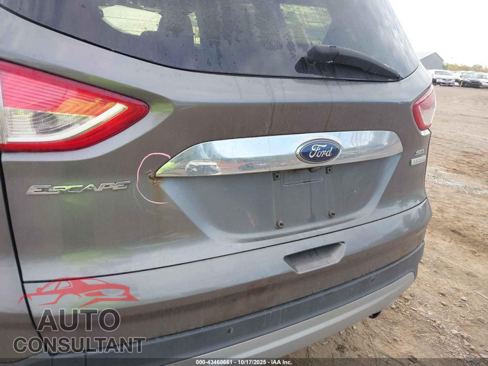 FORD ESCAPE 2013 - 1FMCU0HX7DUA58698