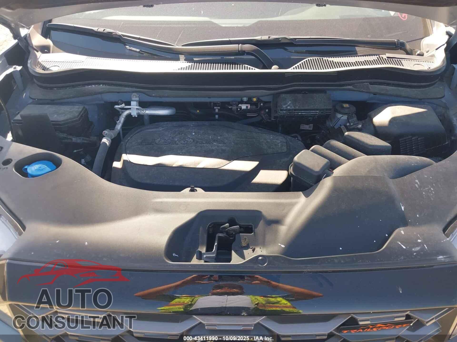 HONDA RIDGELINE 2025 - 5FPYK3F65SB016782