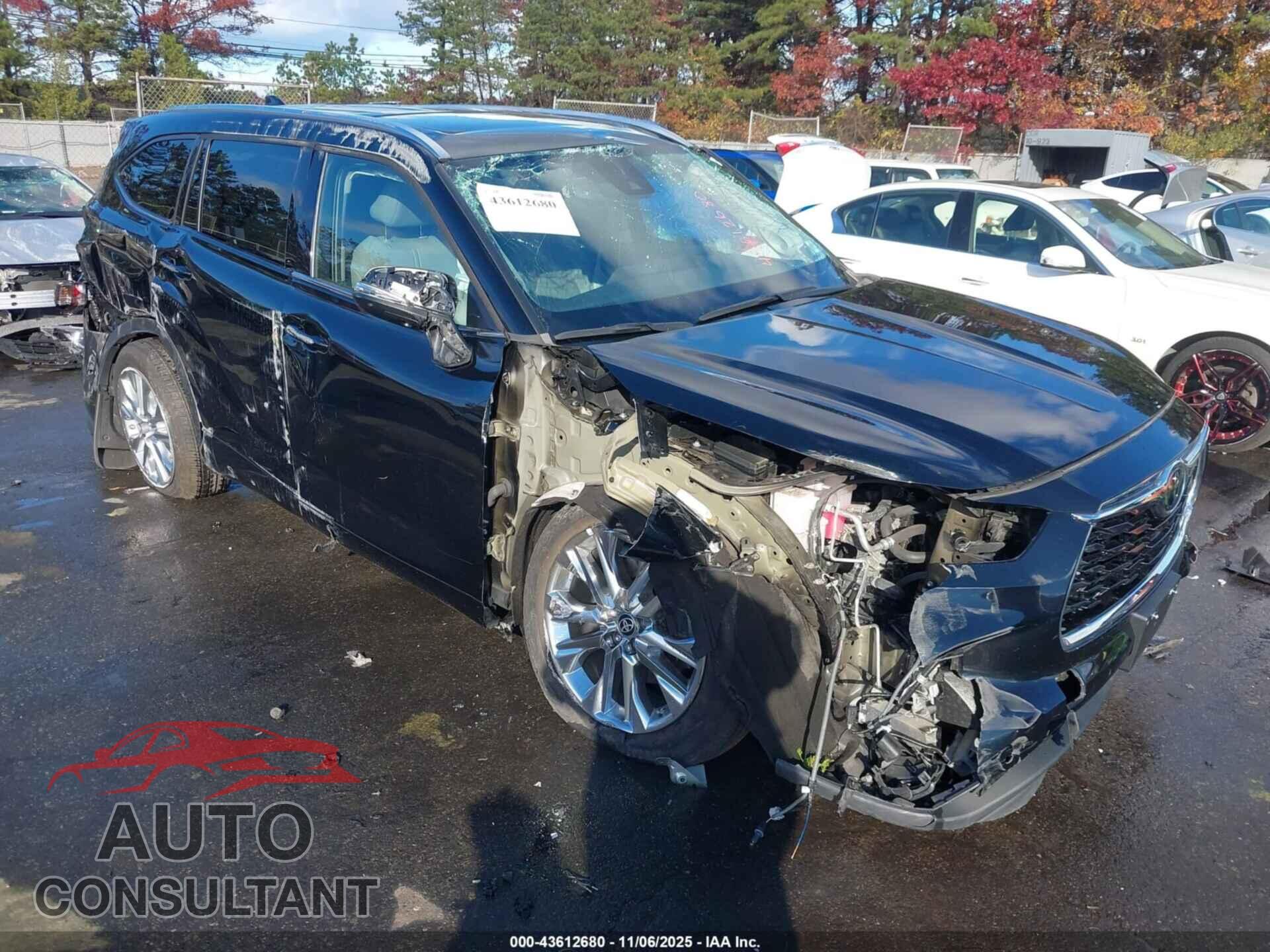 TOYOTA HIGHLANDER 2023 - 5TDKDRBH1PS031317