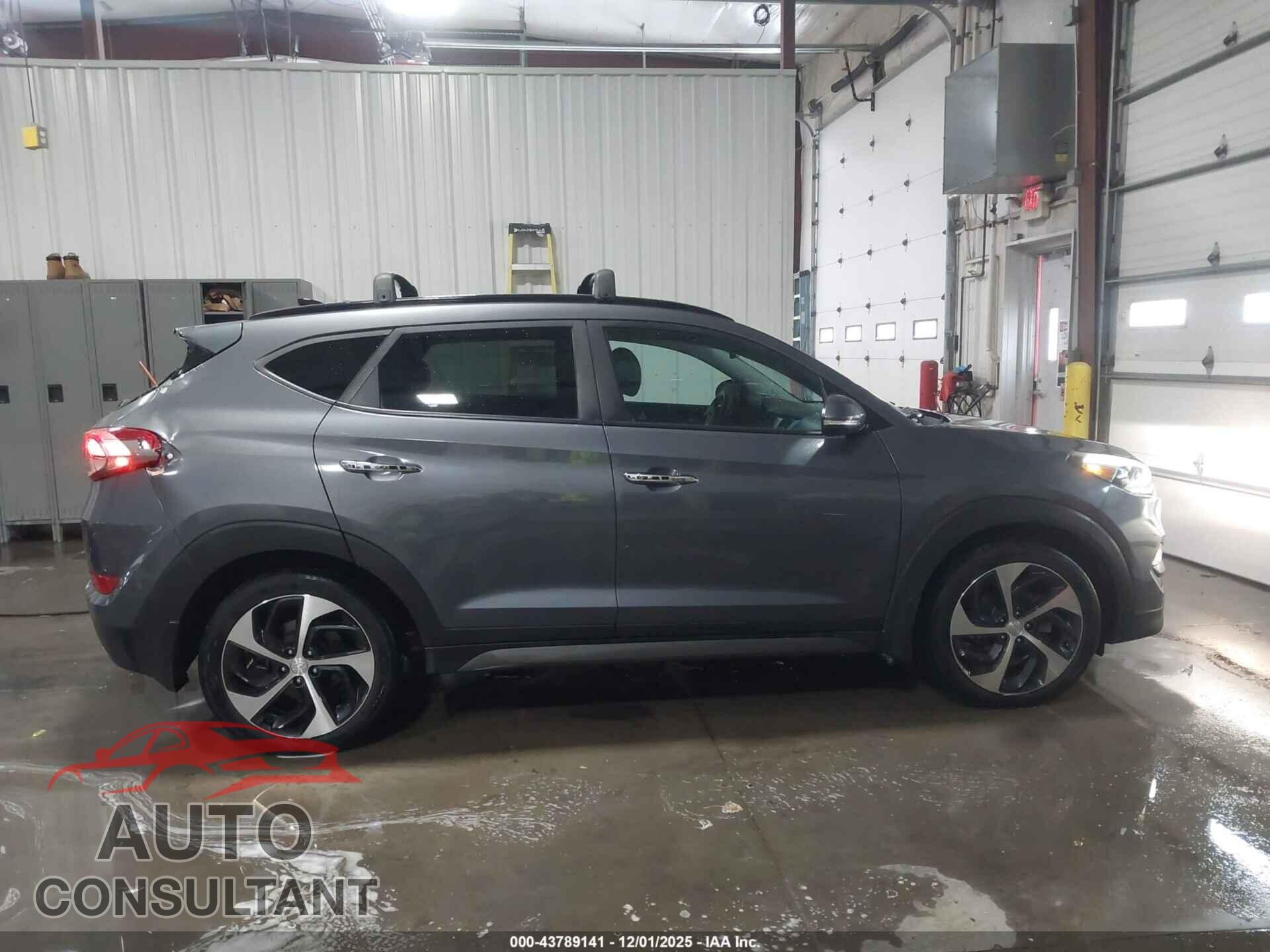 HYUNDAI TUCSON 2016 - KM8J33A26GU236633