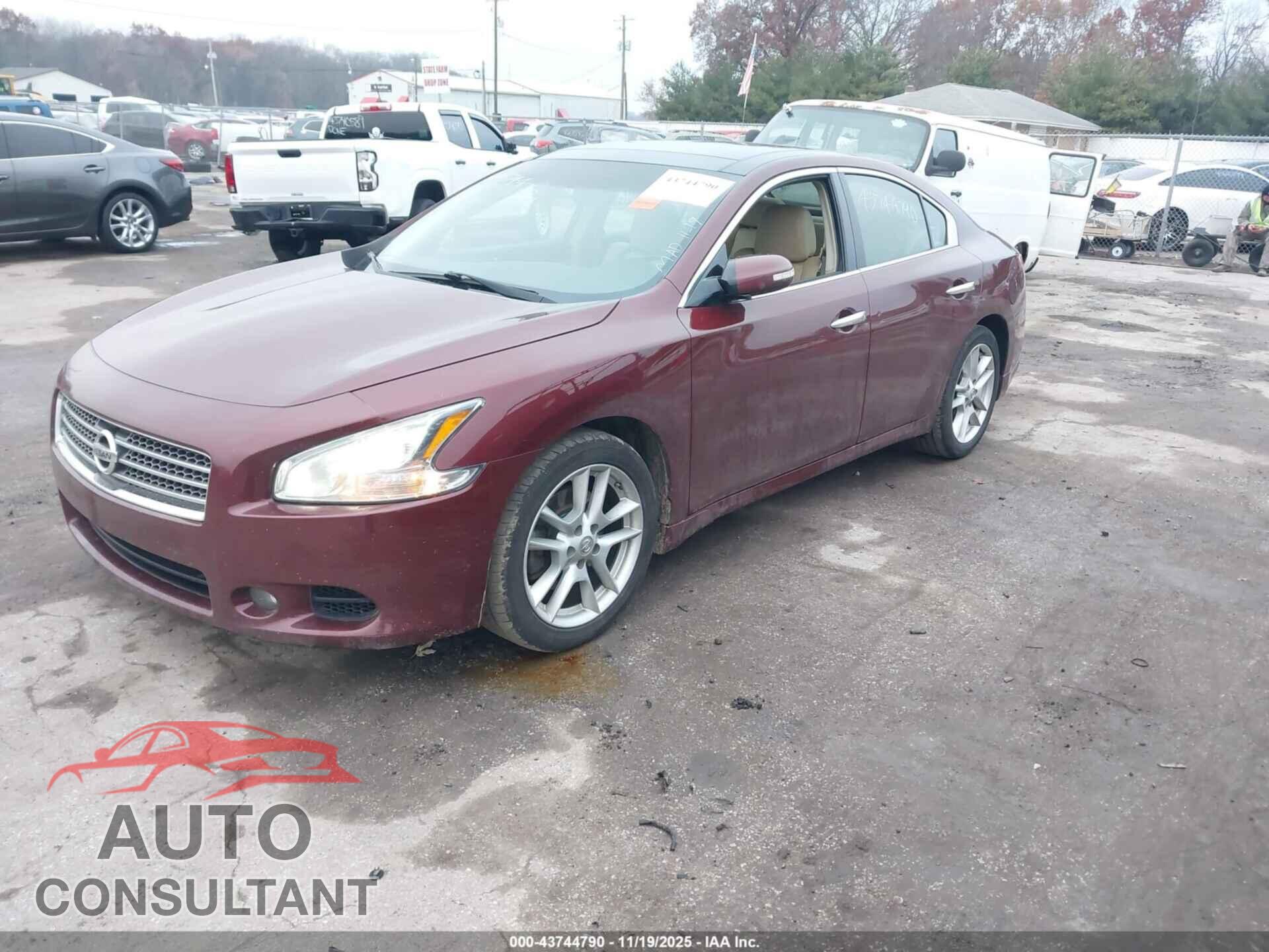 NISSAN MAXIMA 2009 - 1N4AA51EX9C832682