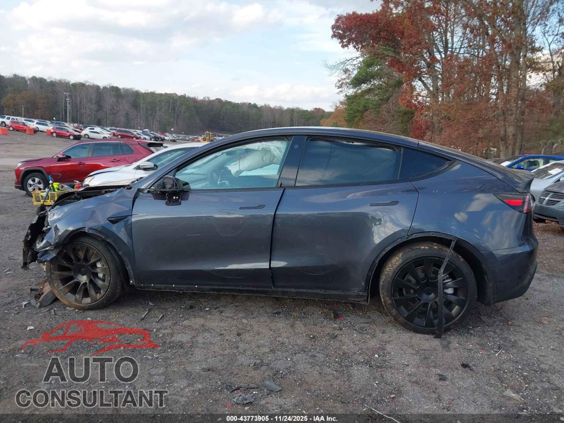 TESLA MODEL Y 2021 - 5YJYGDEE1MF176377
