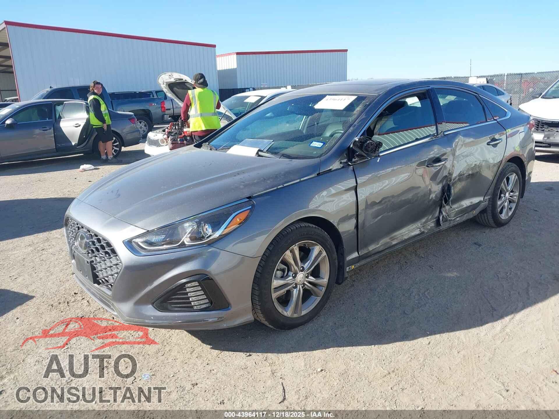 HYUNDAI SONATA 2019 - 5NPE34AF5KH759465