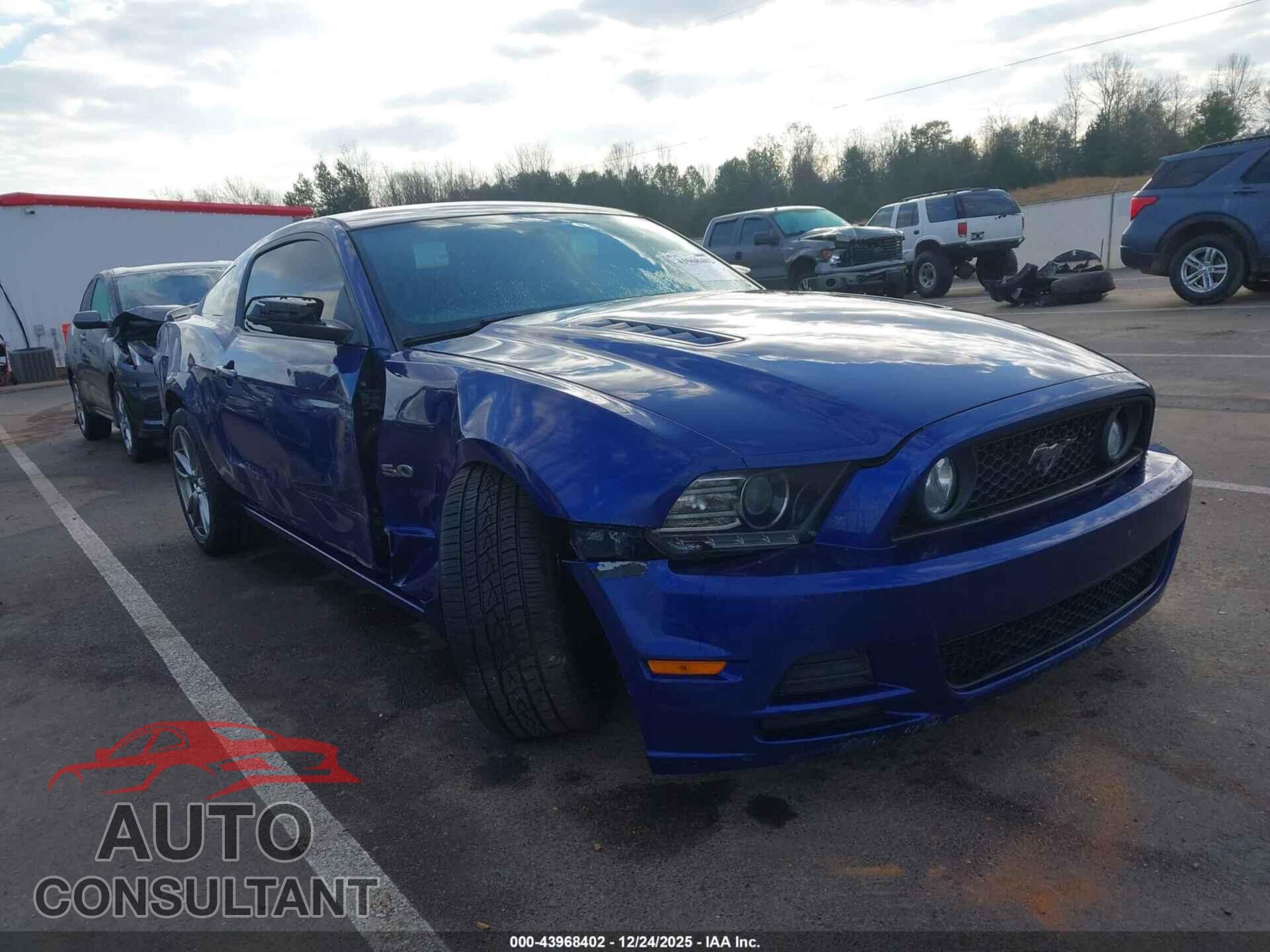 FORD MUSTANG 2014 - 1ZVBP8CF5E5246648
