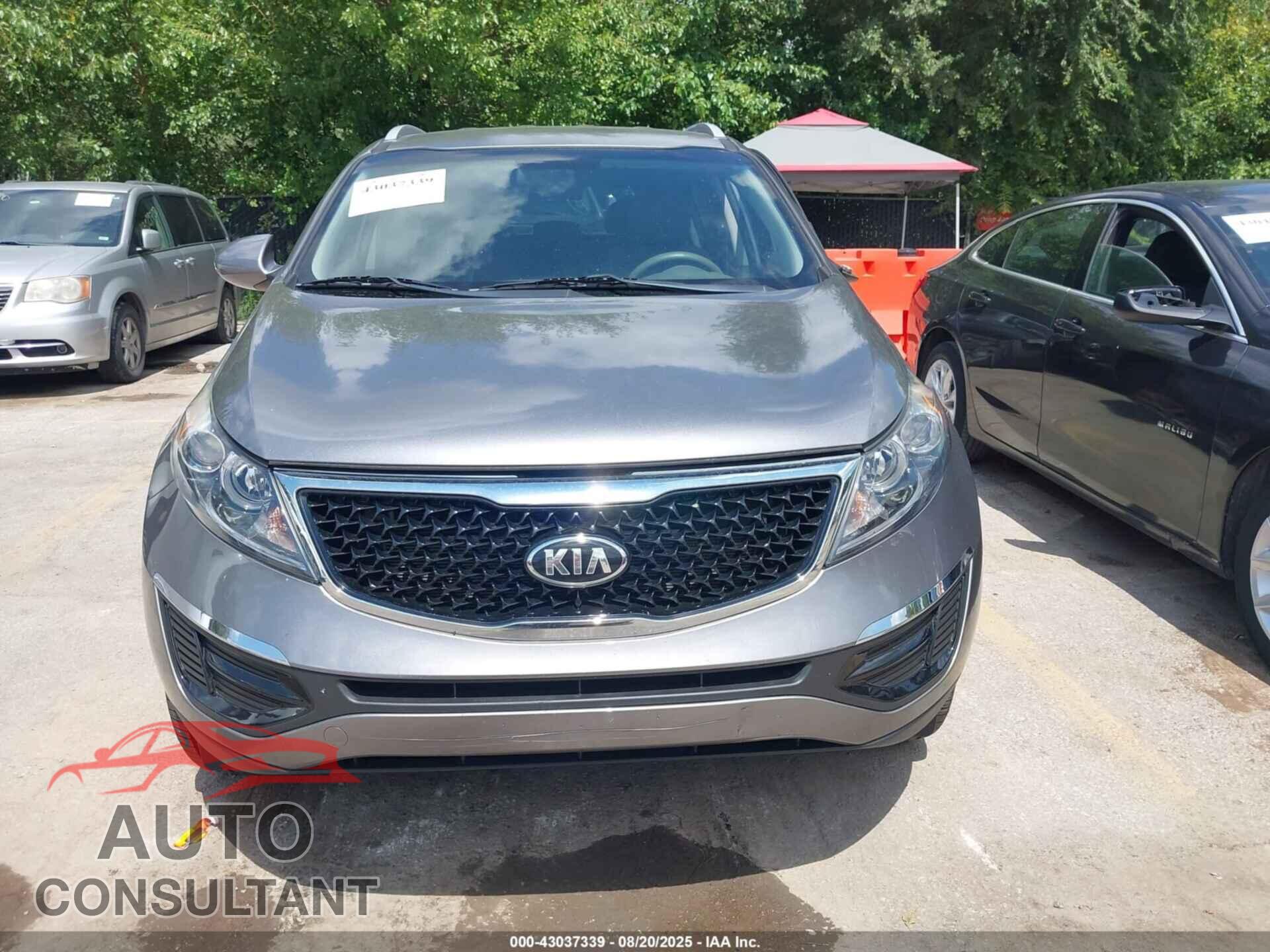 KIA SPORTAGE 2016 - KNDPBCAC4G7841307