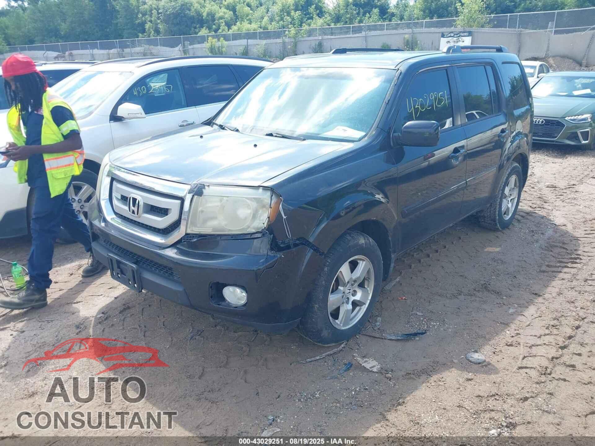 HONDA PILOT 2011 - 5FNYF4H46BB057923