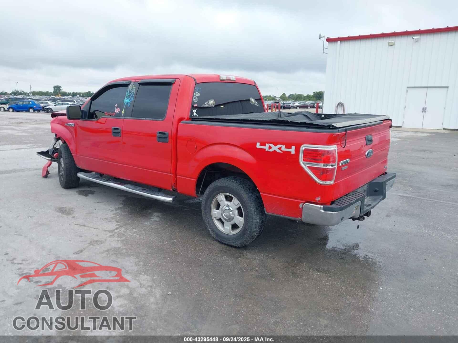FORD F-150 2010 - 1FTFW1EV0AKE76239