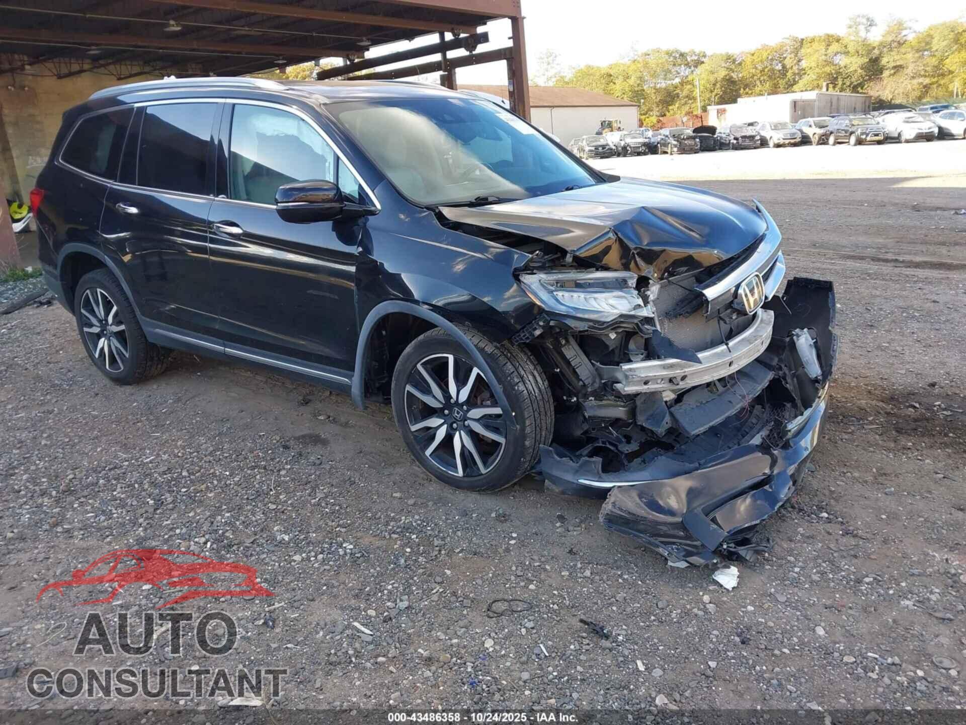 HONDA PILOT 2019 - 5FNYF6H02KB023924