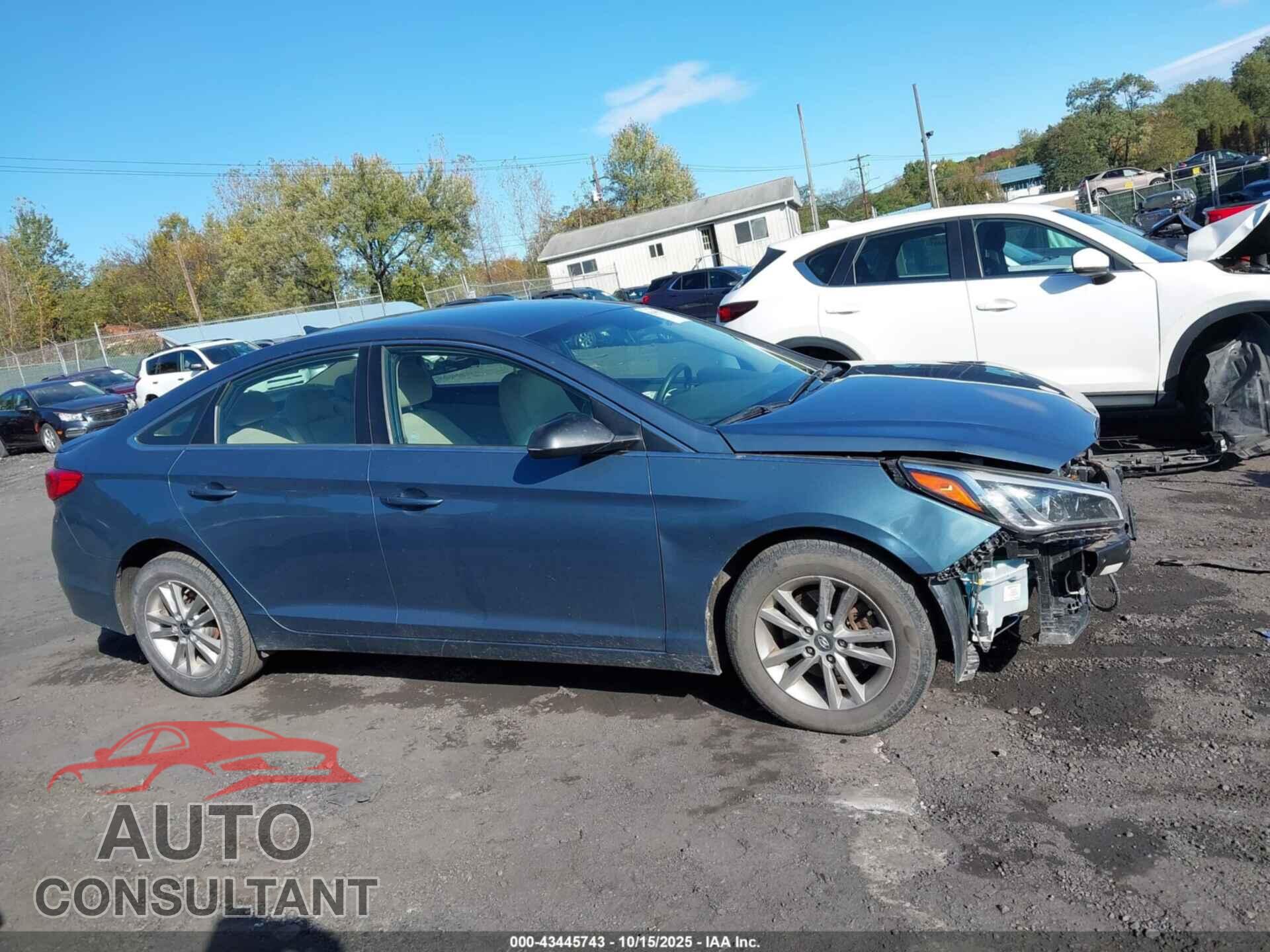 HYUNDAI SONATA 2017 - 5NPE24AF7HH534055