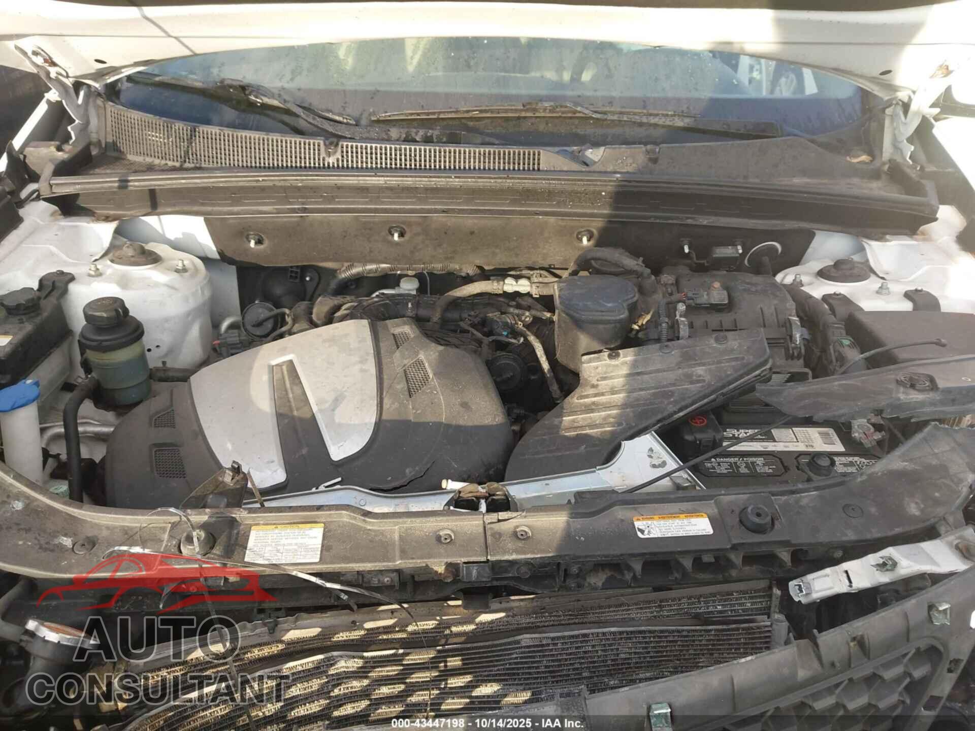 KIA SORENTO 2011 - 5XYKUDA21BG030920
