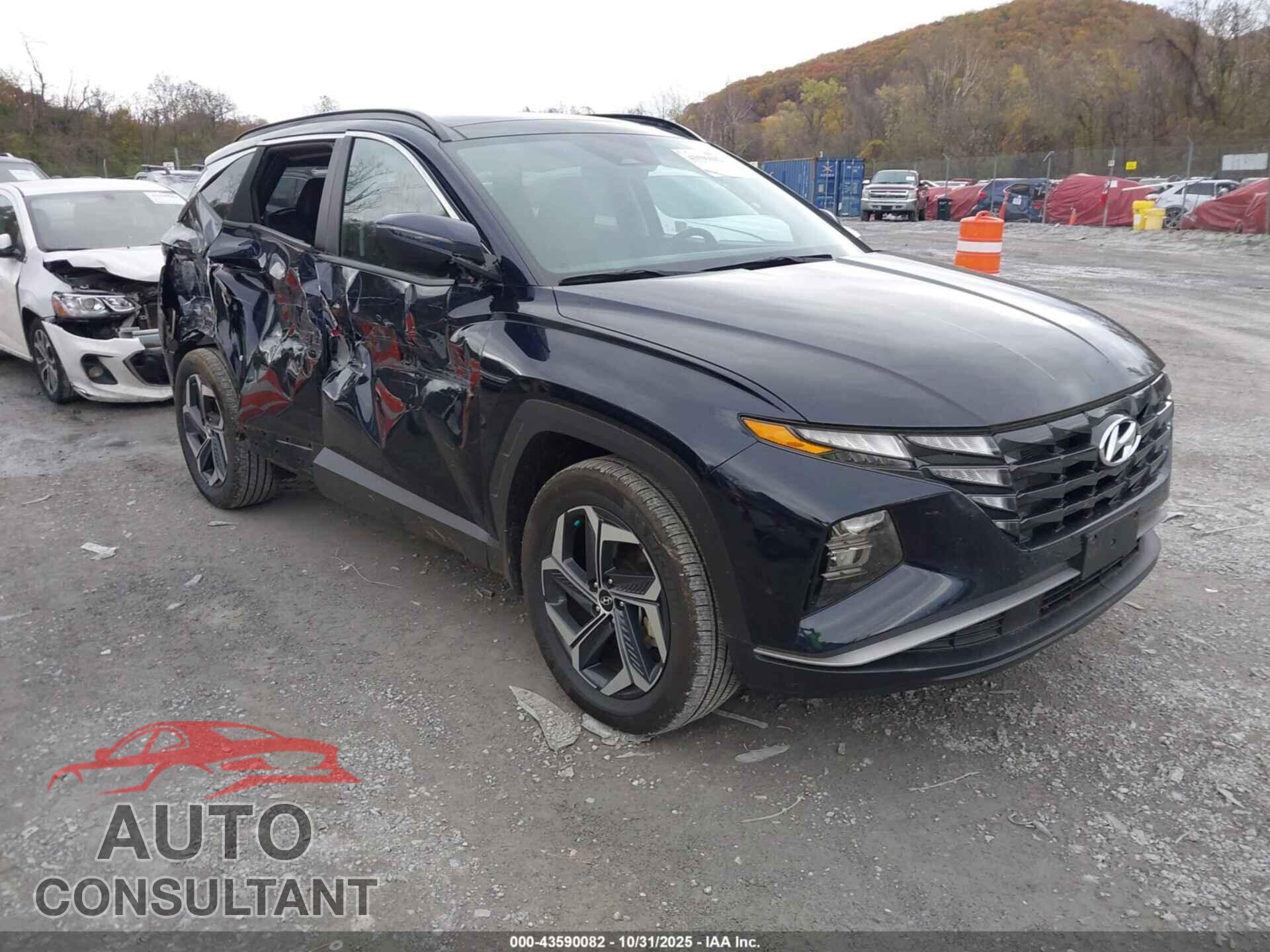 HYUNDAI TUCSON HYBRID 2024 - KM8JCCD10RU173616