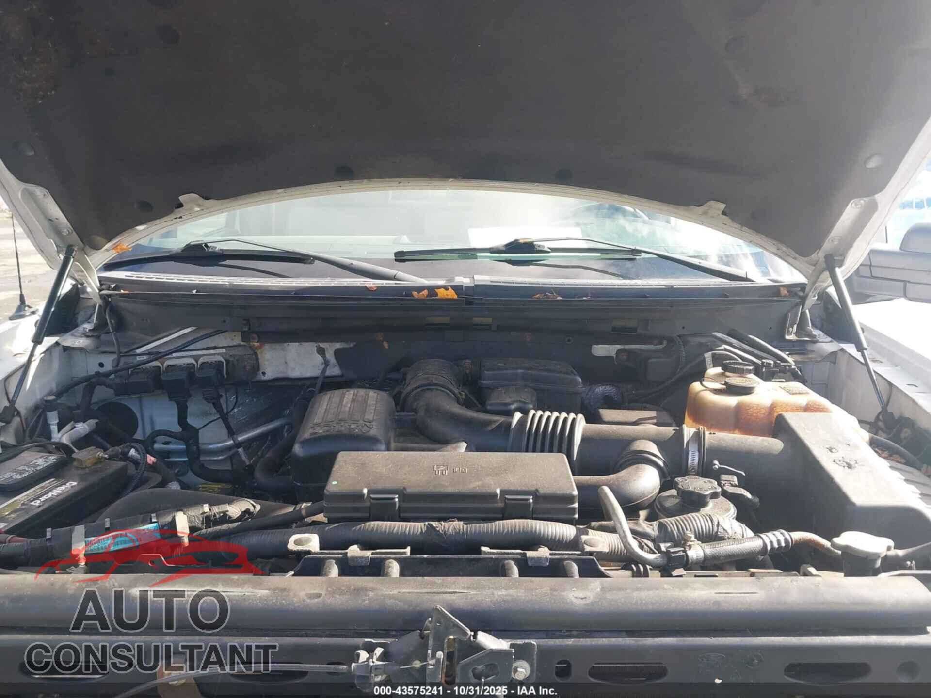 FORD F-150 2010 - 1FTFX1EV9AKE50560