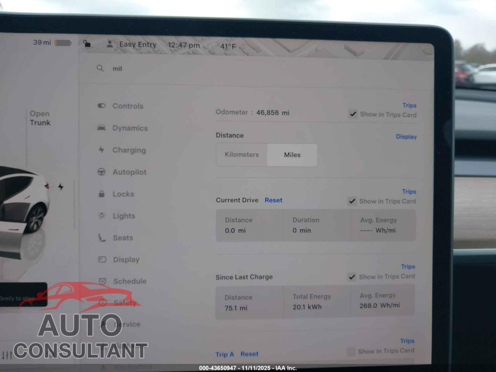 TESLA MODEL Y 2023 - 7SAYGDEE0PF789761