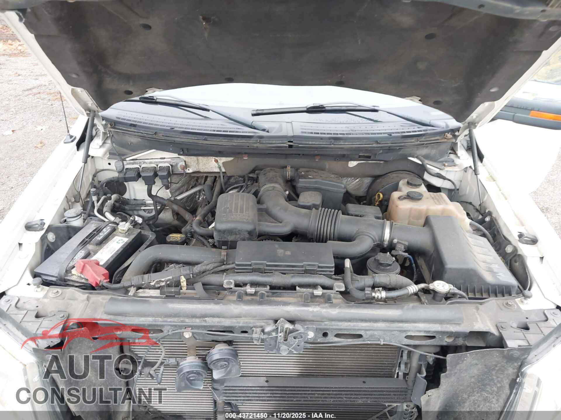 FORD F-150 2009 - 1FTPW14V09FA47340