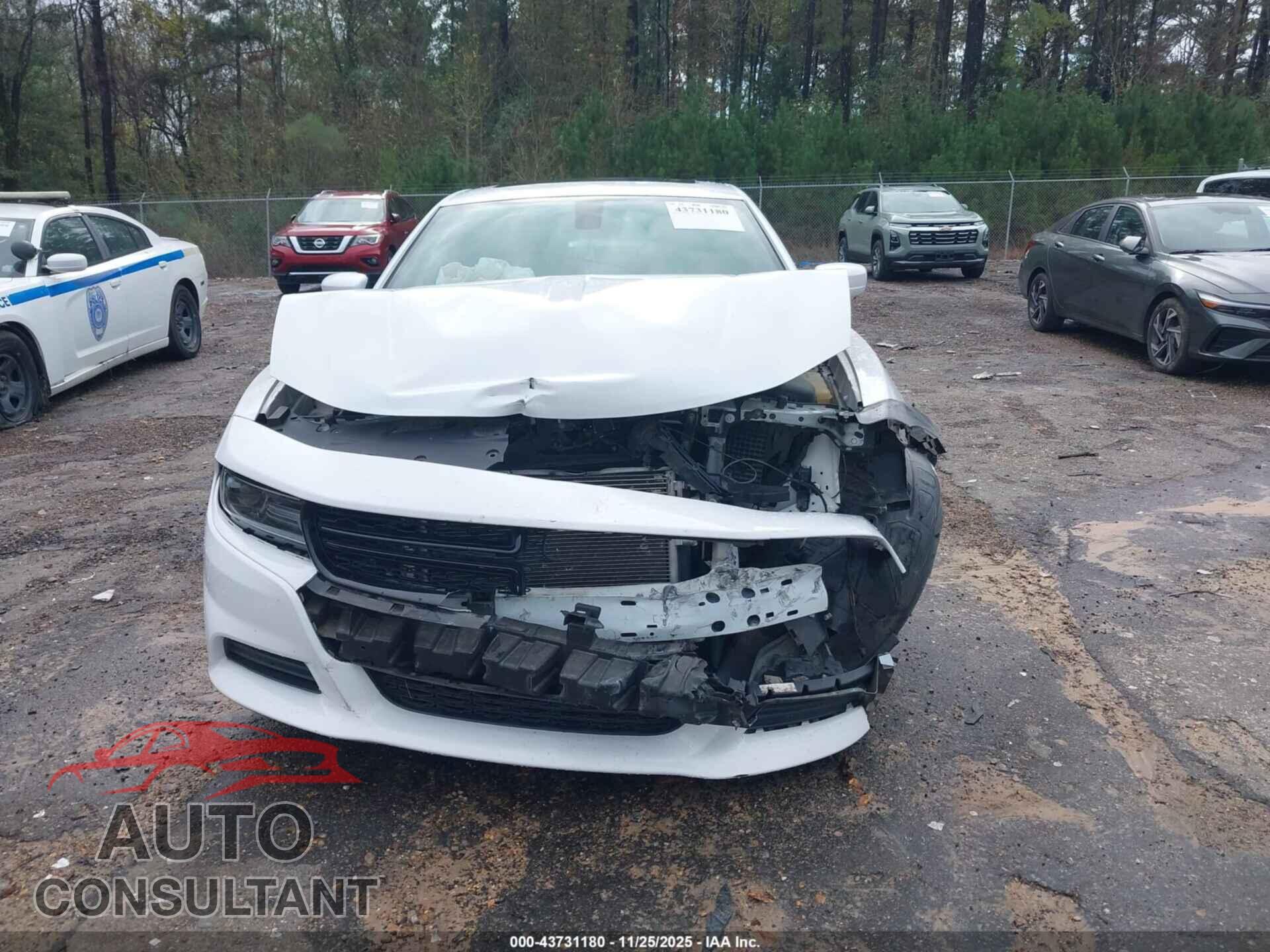 DODGE CHARGER 2019 - 2C3CDXBGXKH713057