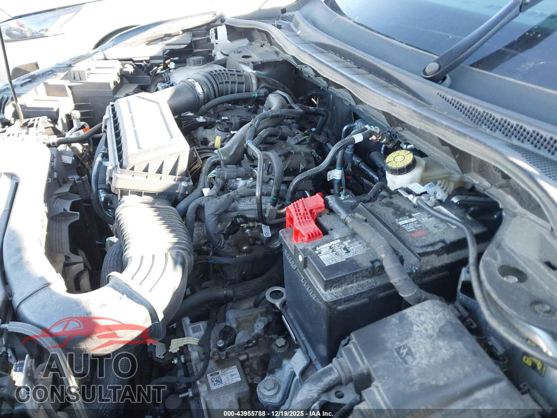 FORD ESCAPE 2024 - 1FMCU9MN6RUA24865