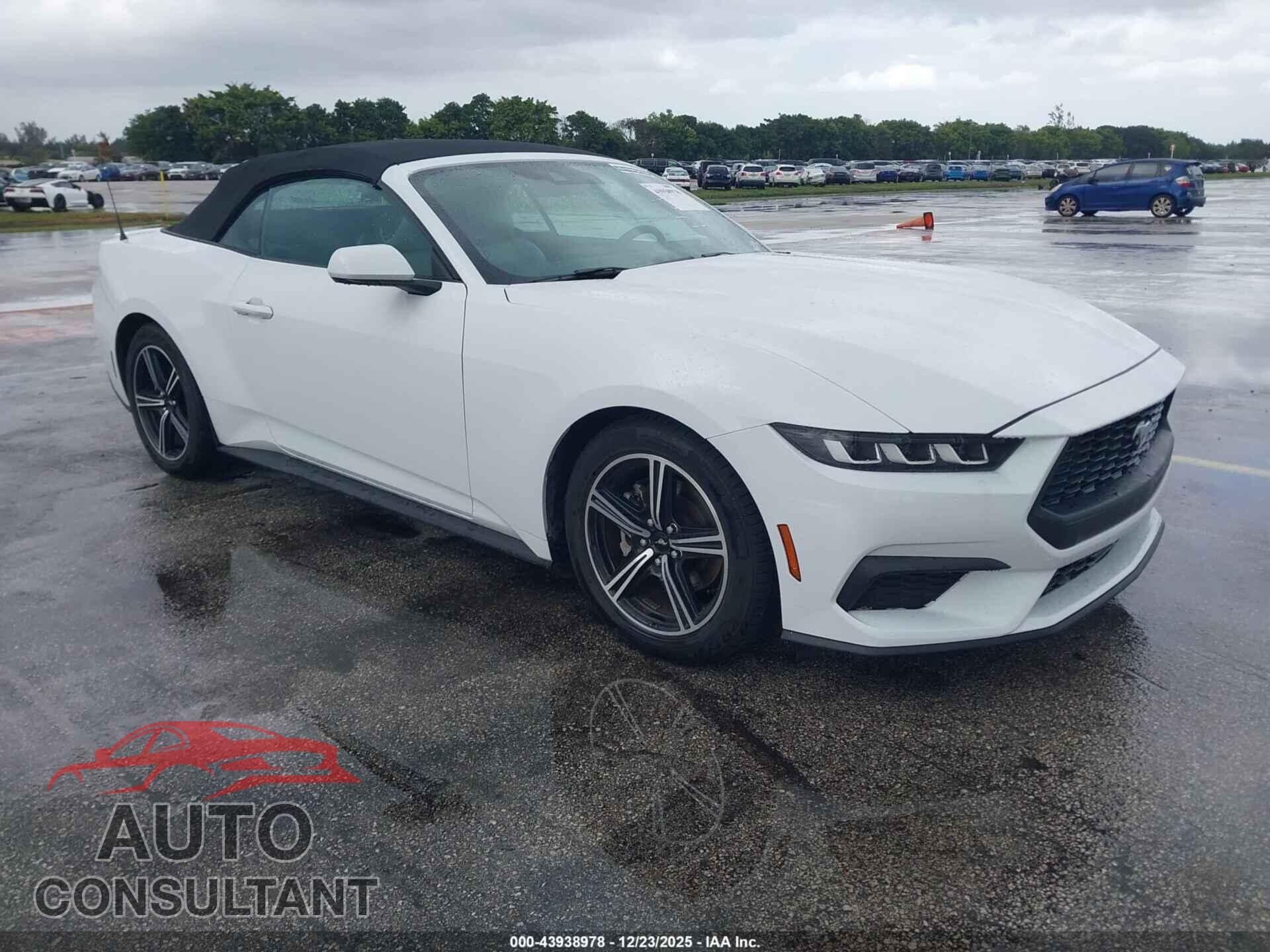 FORD MUSTANG 2024 - 1FAGP8UHXR5126929