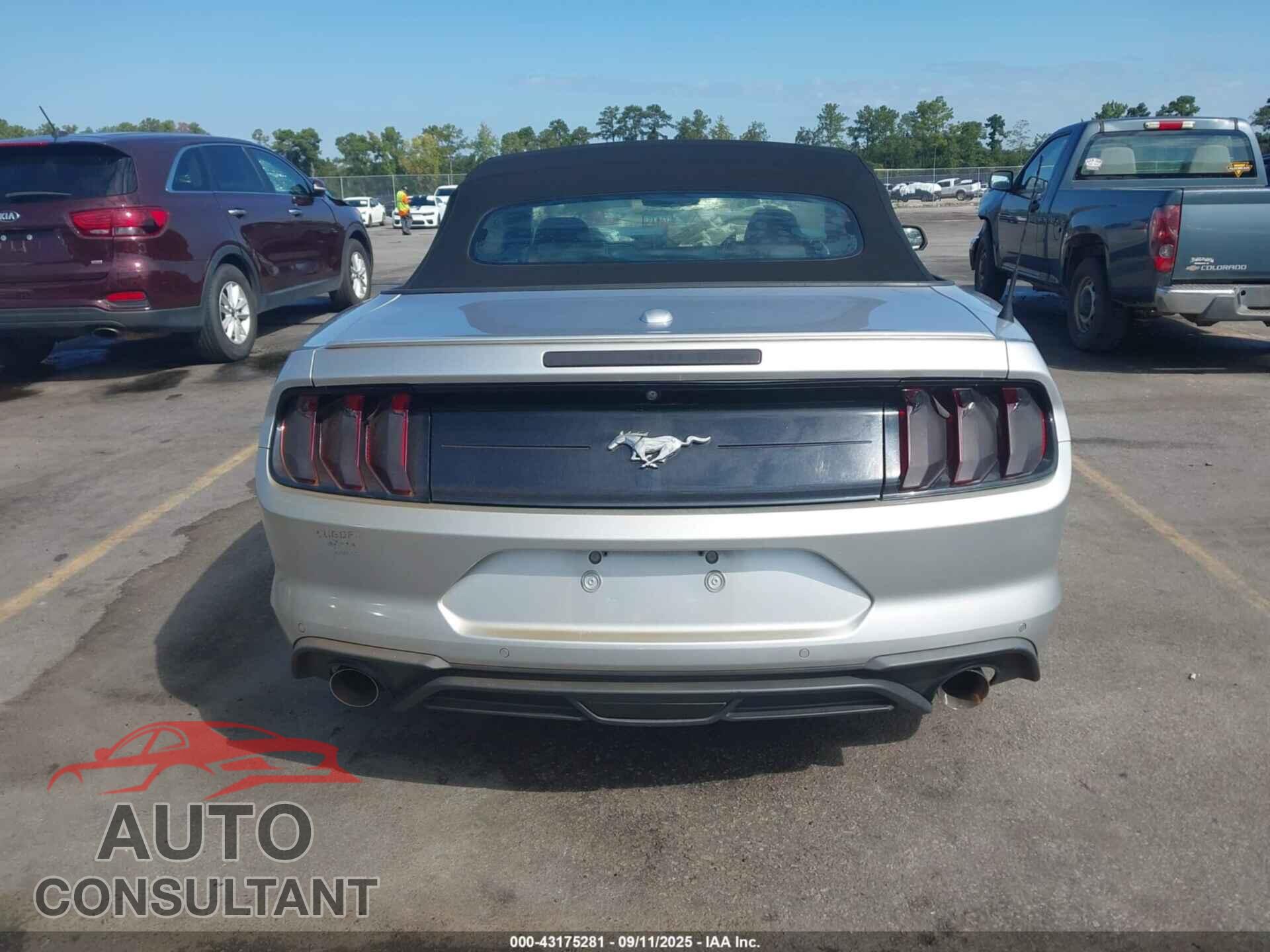 FORD MUSTANG 2019 - 1FATP8UH8K5170870