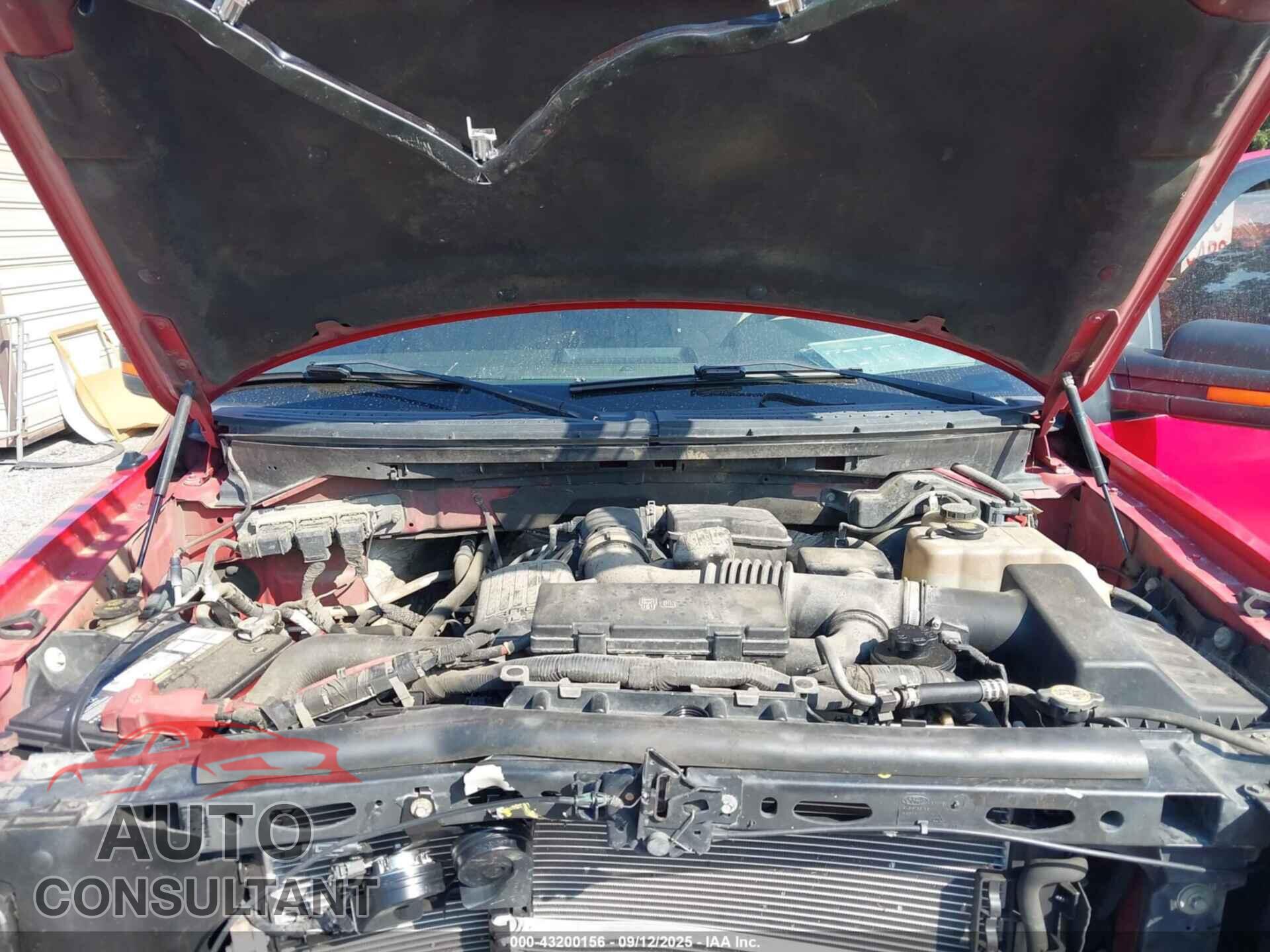FORD F-150 2010 - 1FTFW1EV5AKA21547
