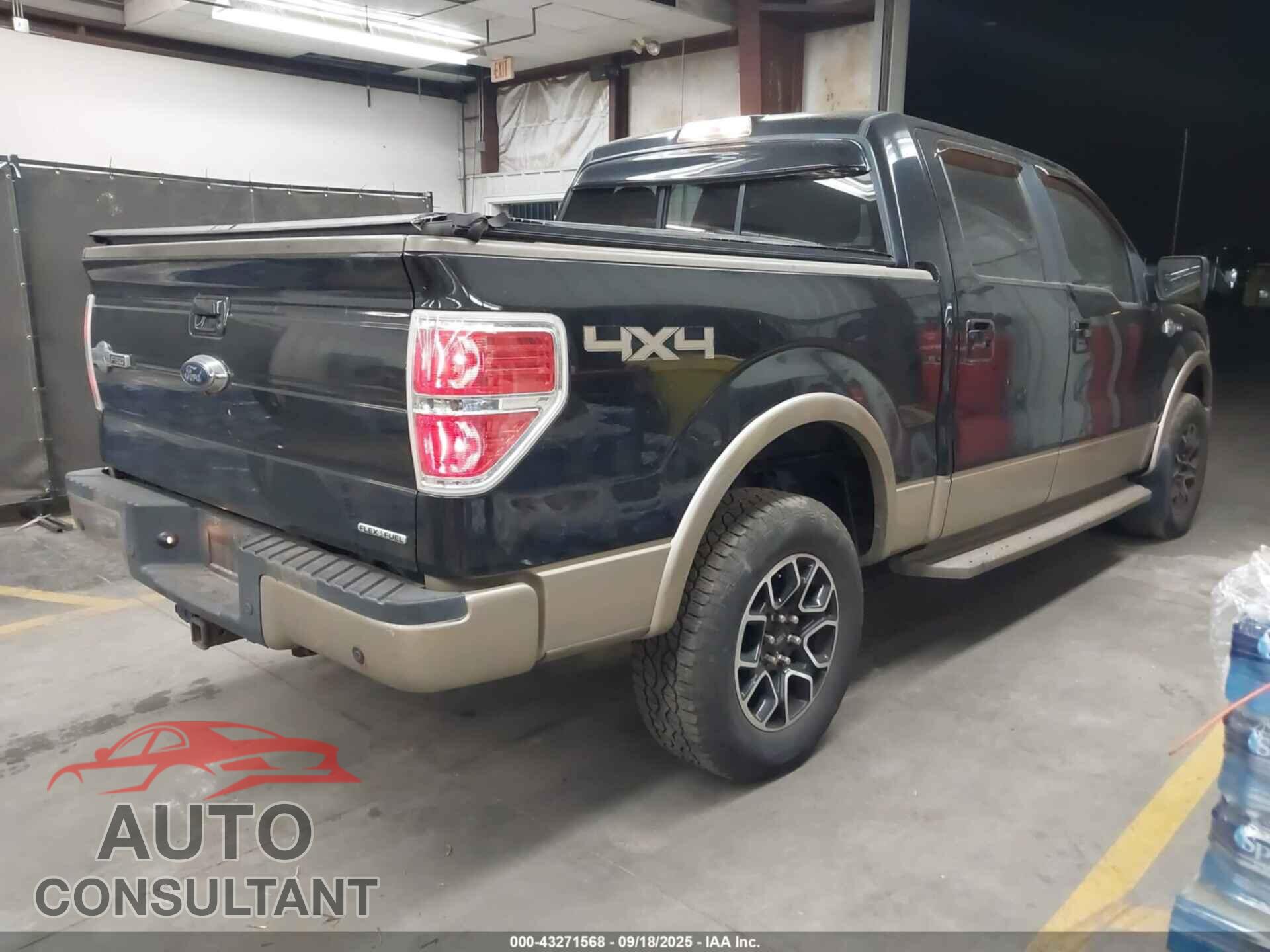 FORD F-150 2013 - 1FTFW1EF8DKF06746