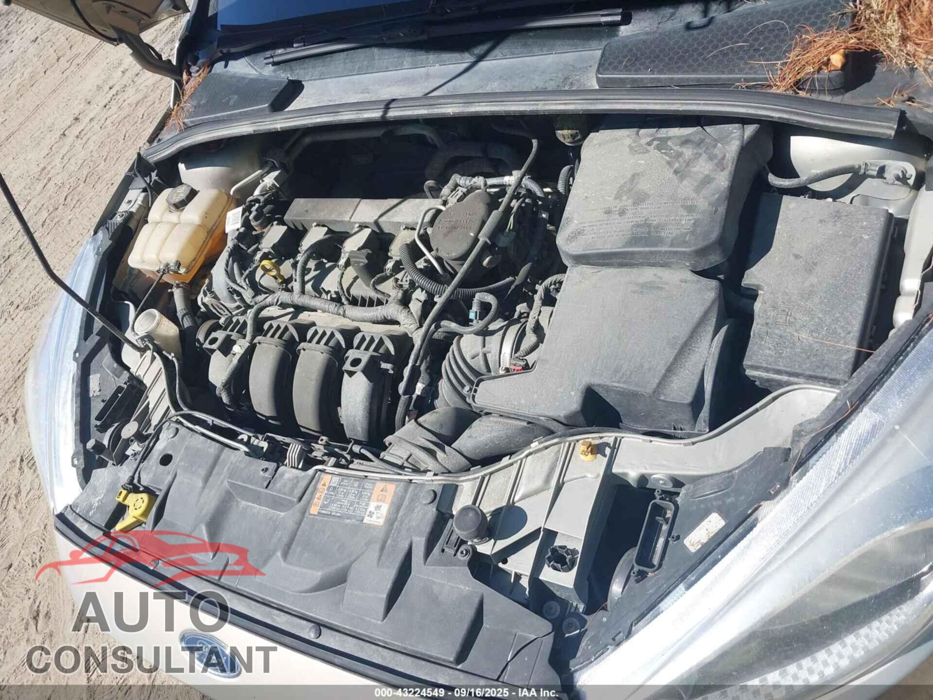 FORD FOCUS 2016 - 1FADP3F26GL232124
