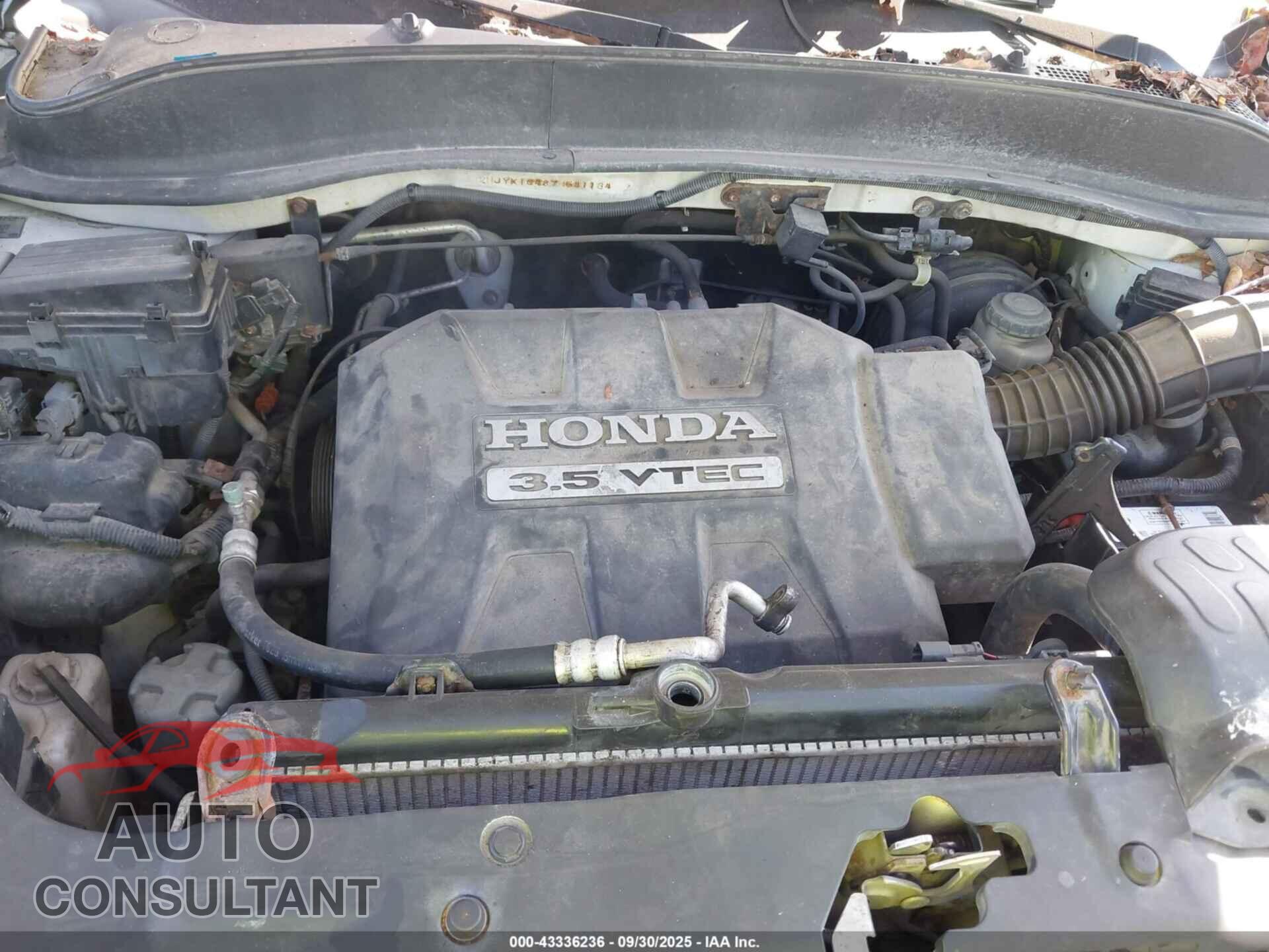 HONDA RIDGELINE 2007 - 2HJYK16487H541134