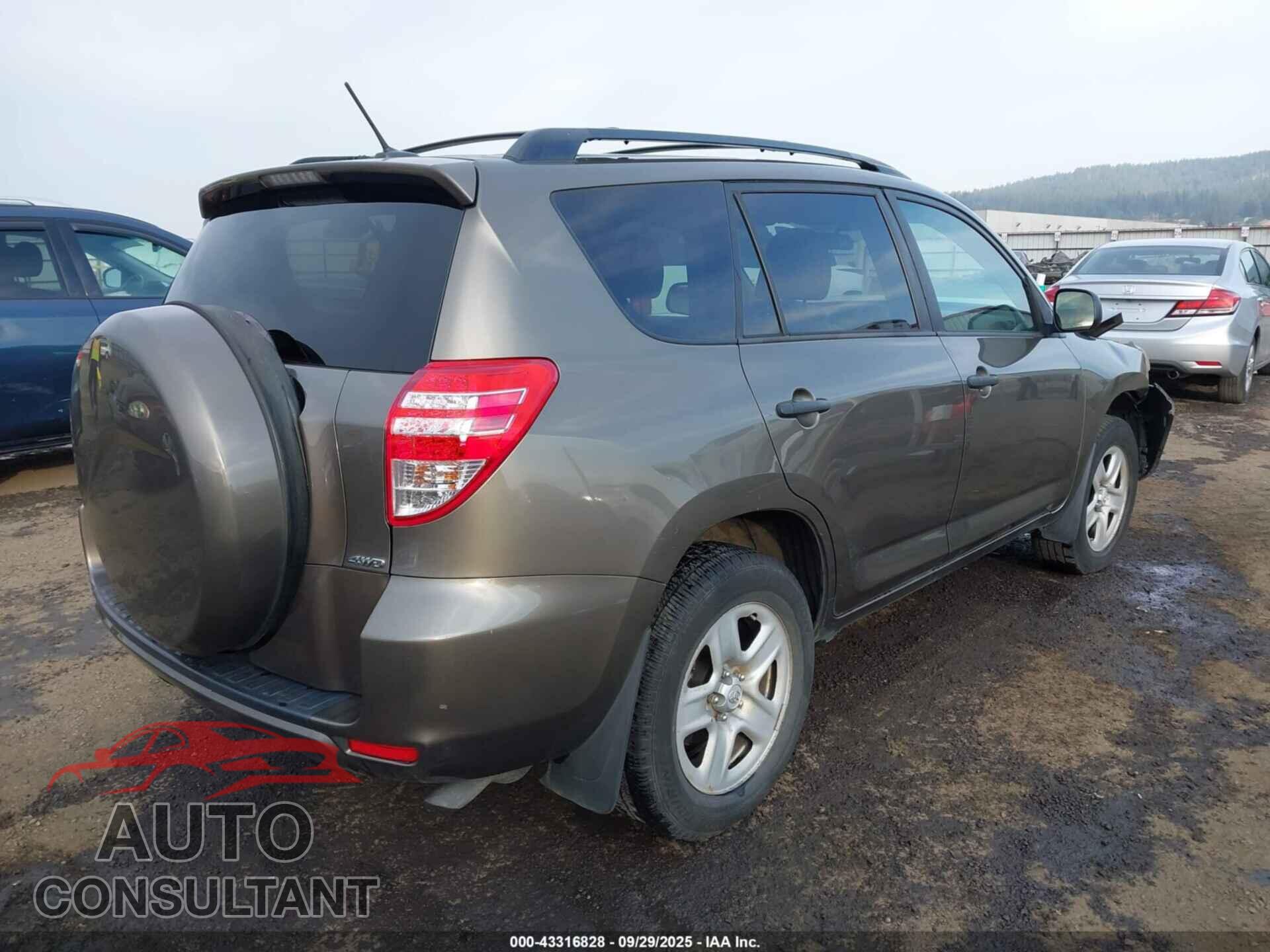 TOYOTA RAV4 2011 - 2T3BF4DV5BW147269