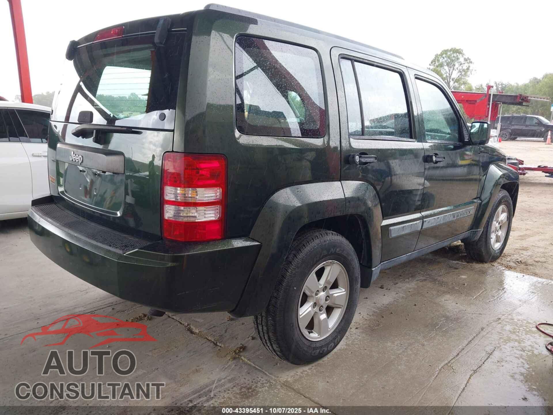 JEEP LIBERTY 2010 - 1J4PP2GK3AW136757
