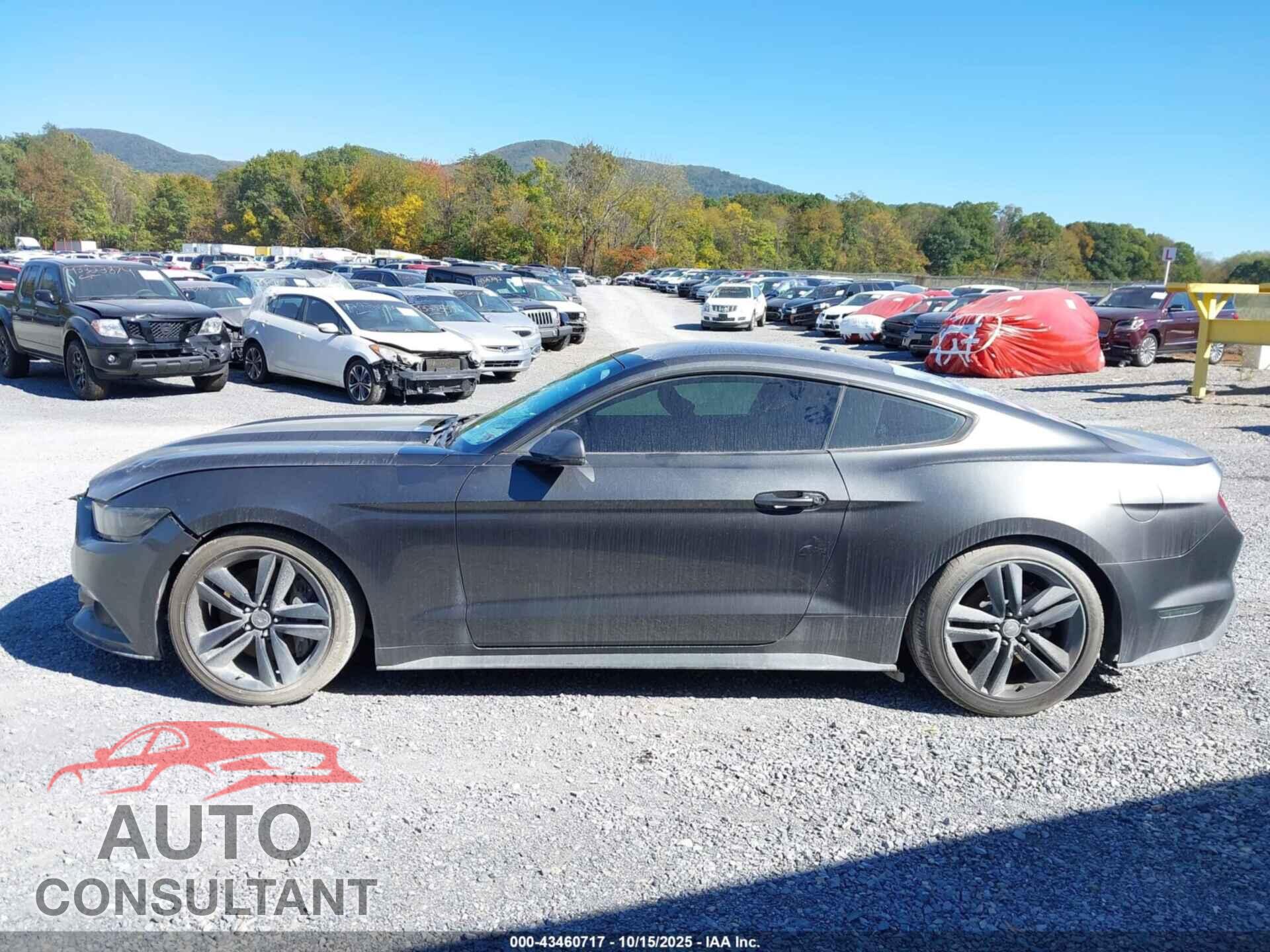 FORD MUSTANG 2016 - 1FA6P8TH4G5219326