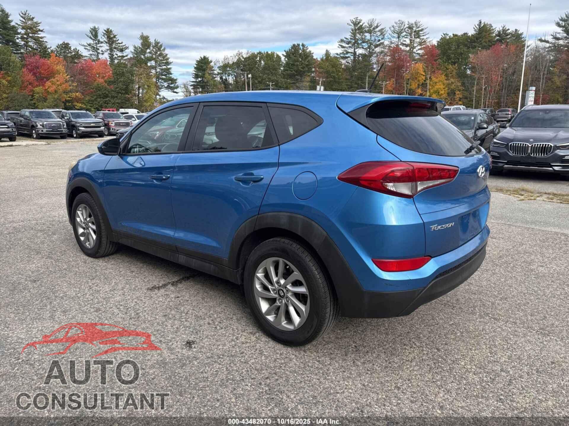 HYUNDAI TUCSON 2016 - KM8J23A40GU097085