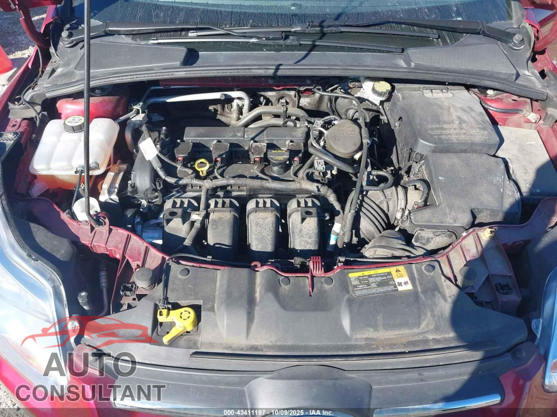 FORD FOCUS 2013 - 1FADP3F27DL187870