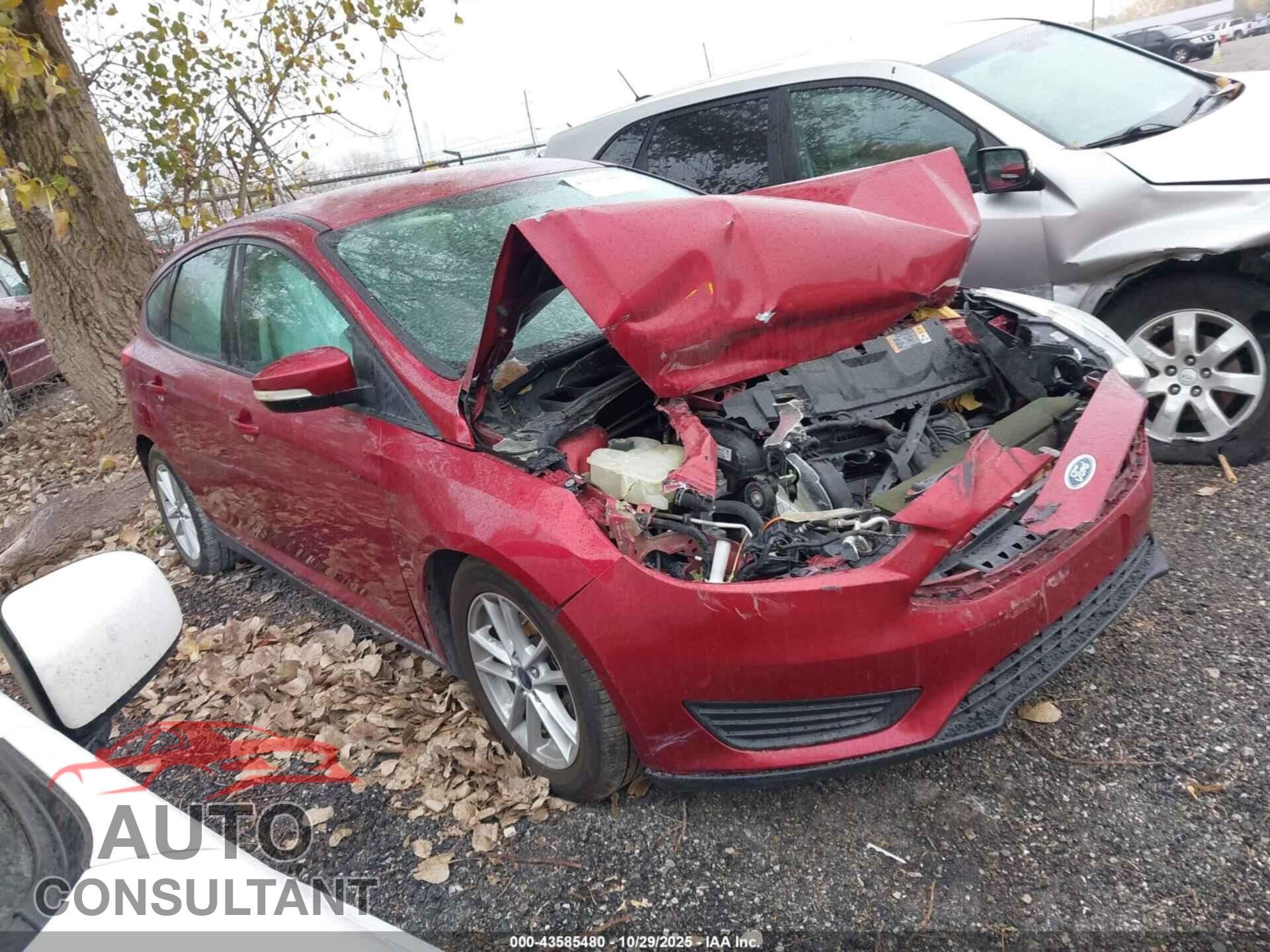 FORD FOCUS 2015 - 1FADP3K26FL319977