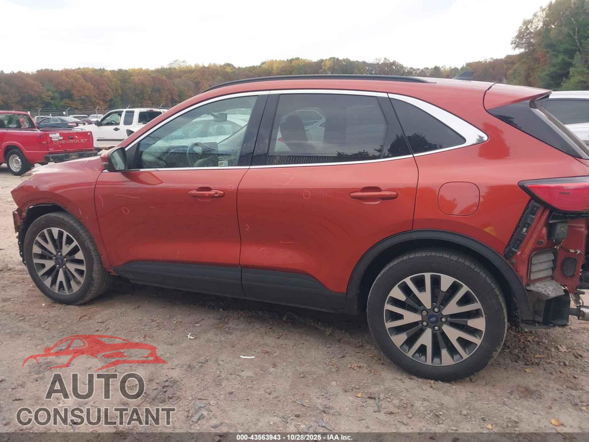 FORD ESCAPE 2020 - 1FMCU9DZ6LUA42759