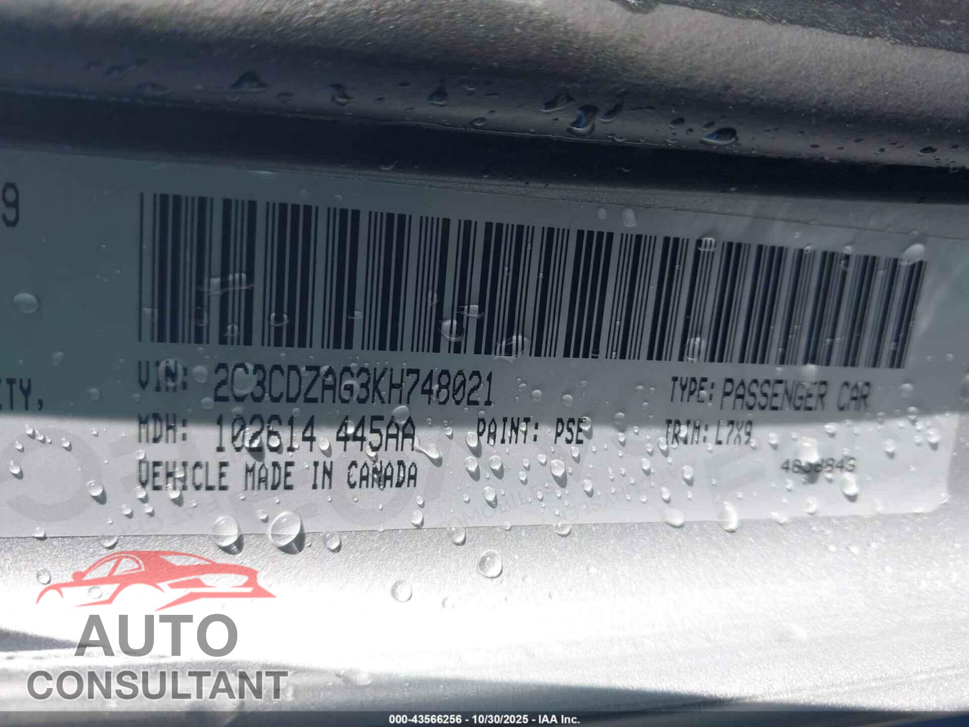 DODGE CHALLENGER 2019 - 2C3CDZAG3KH748021