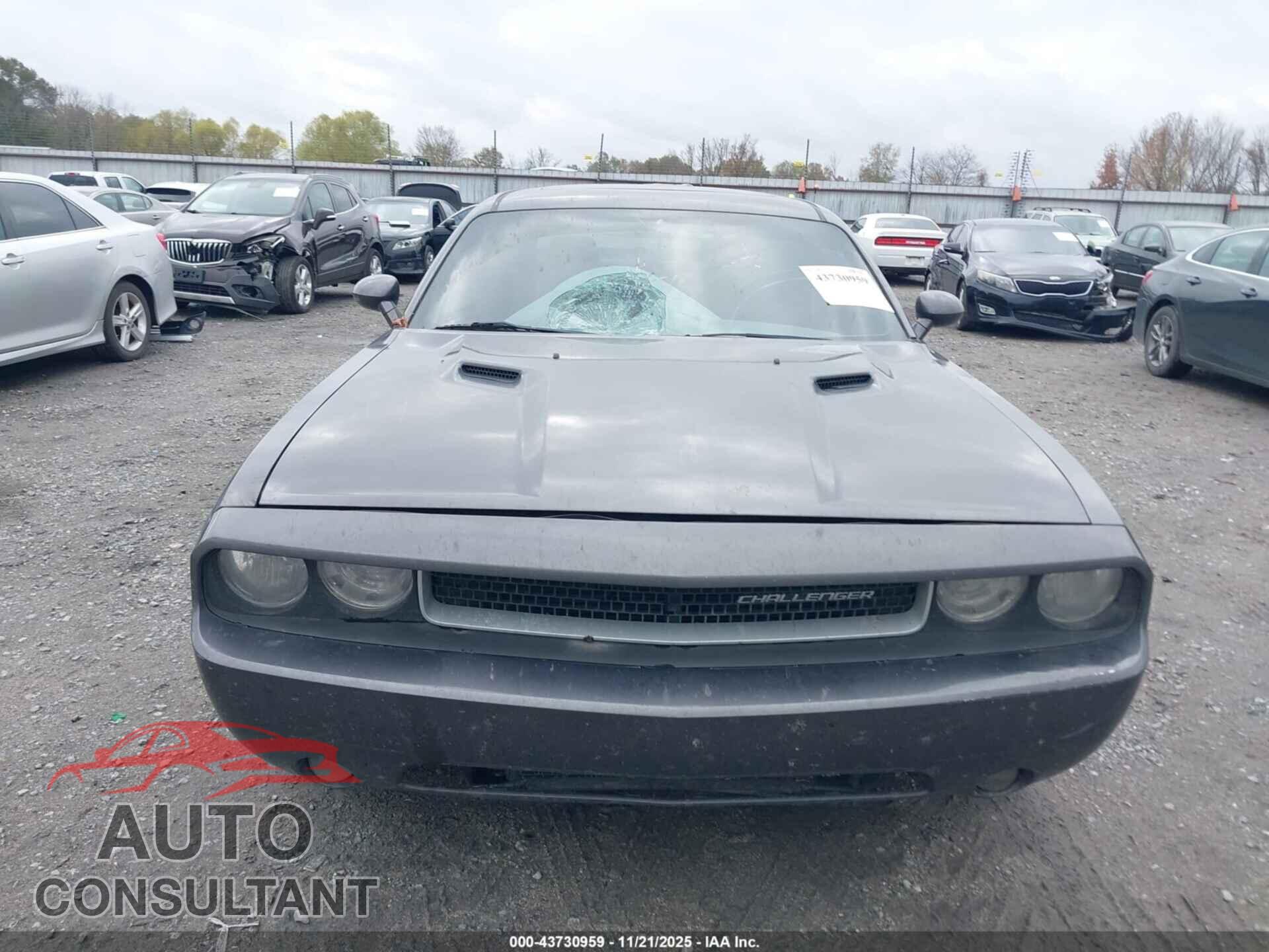 DODGE CHALLENGER 2013 - 2C3CDYAG7DH549437