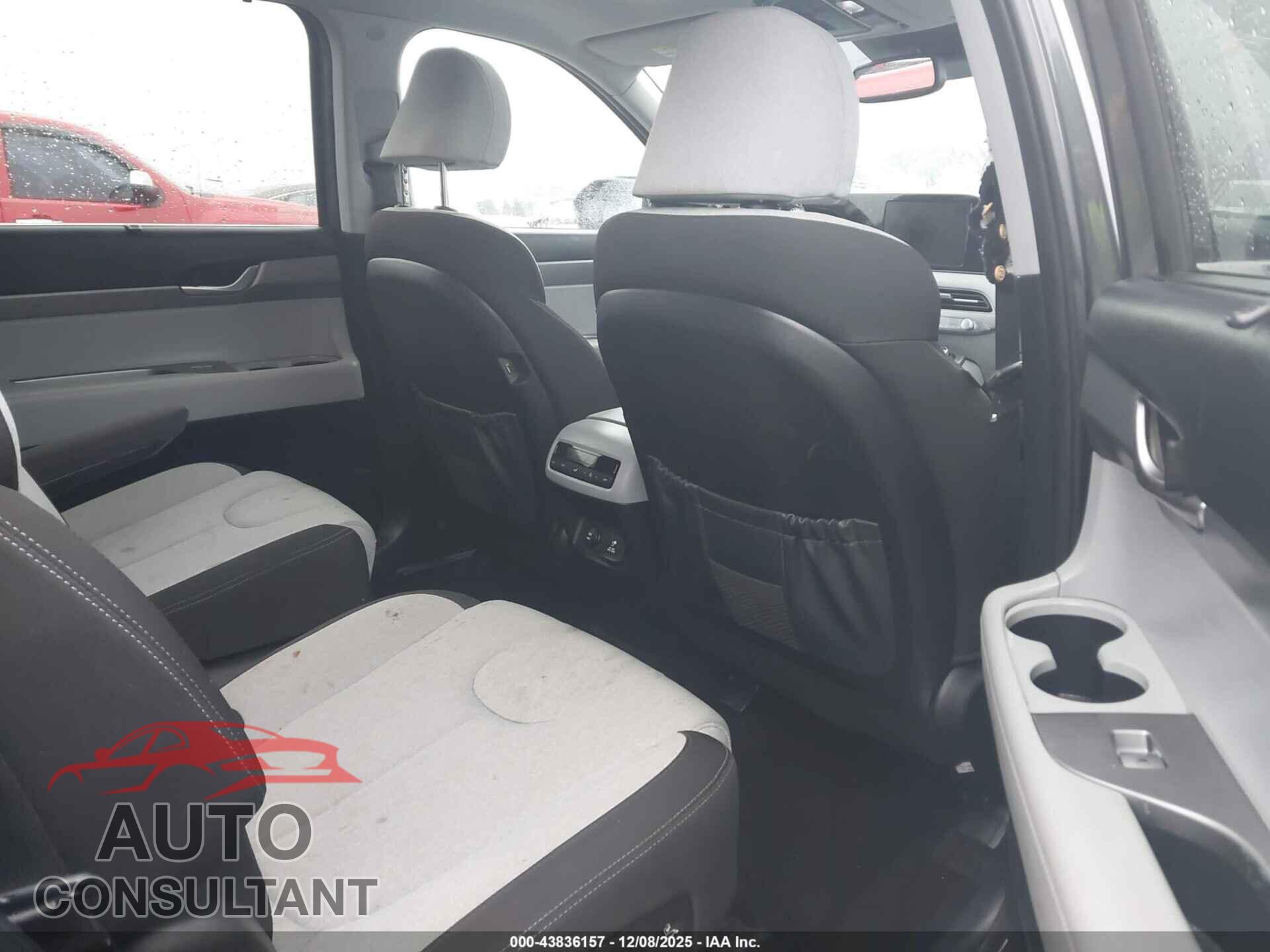 HYUNDAI PALISADE 2020 - KM8R34HEXLU169912
