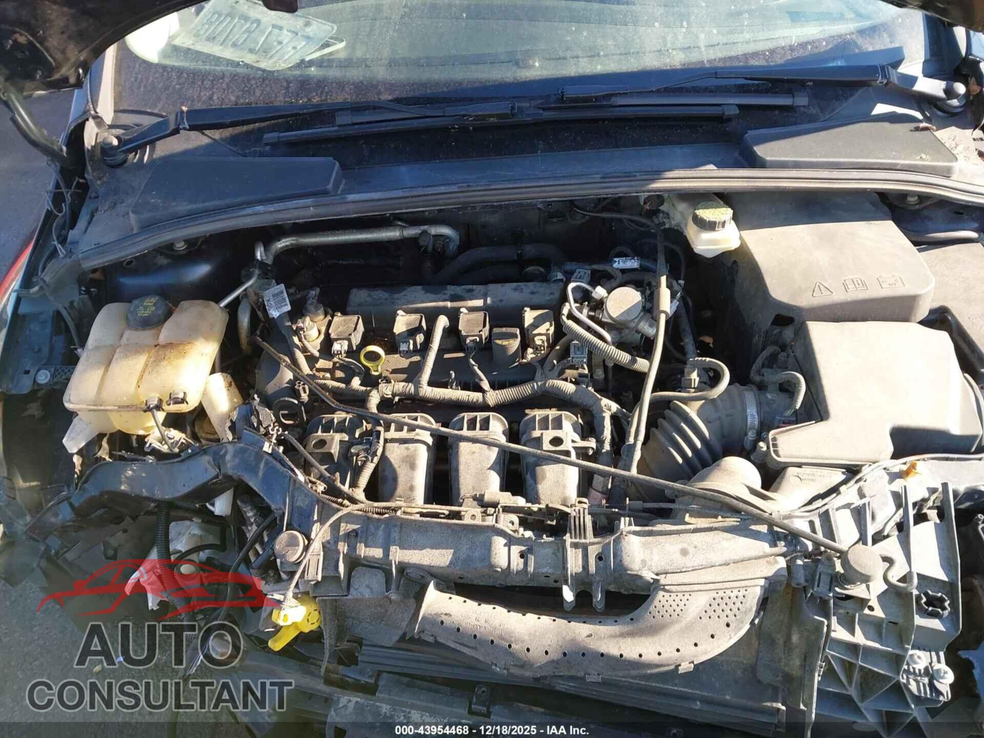 FORD FOCUS 2017 - 1FADP3H29HL224971