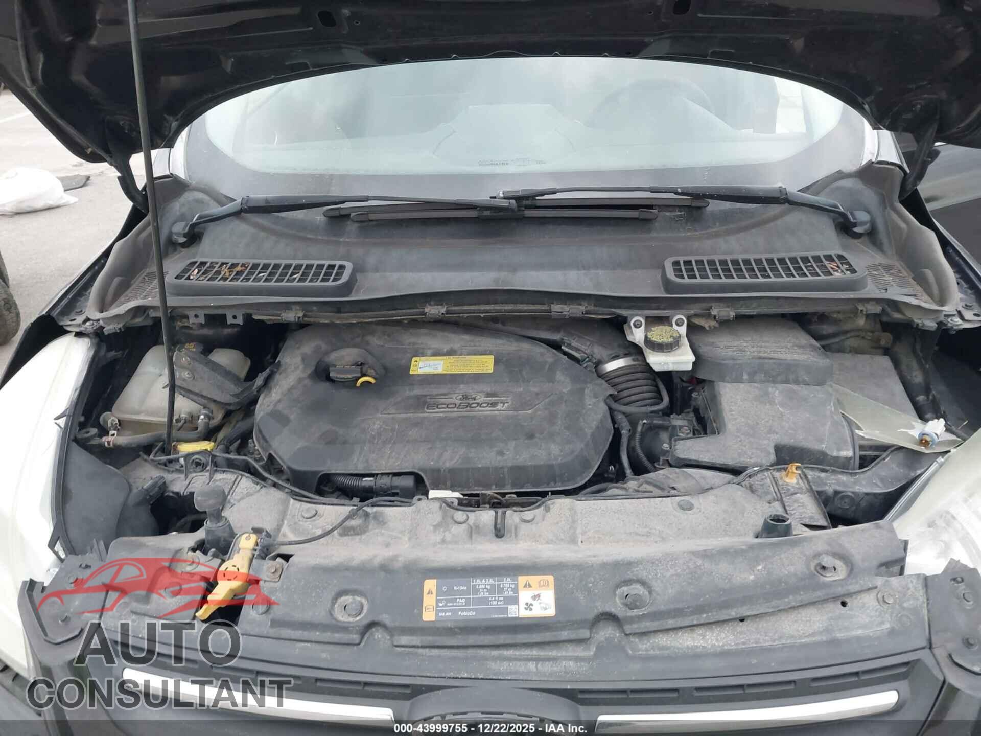 FORD ESCAPE 2013 - 1FMCU9GX5DUC48487