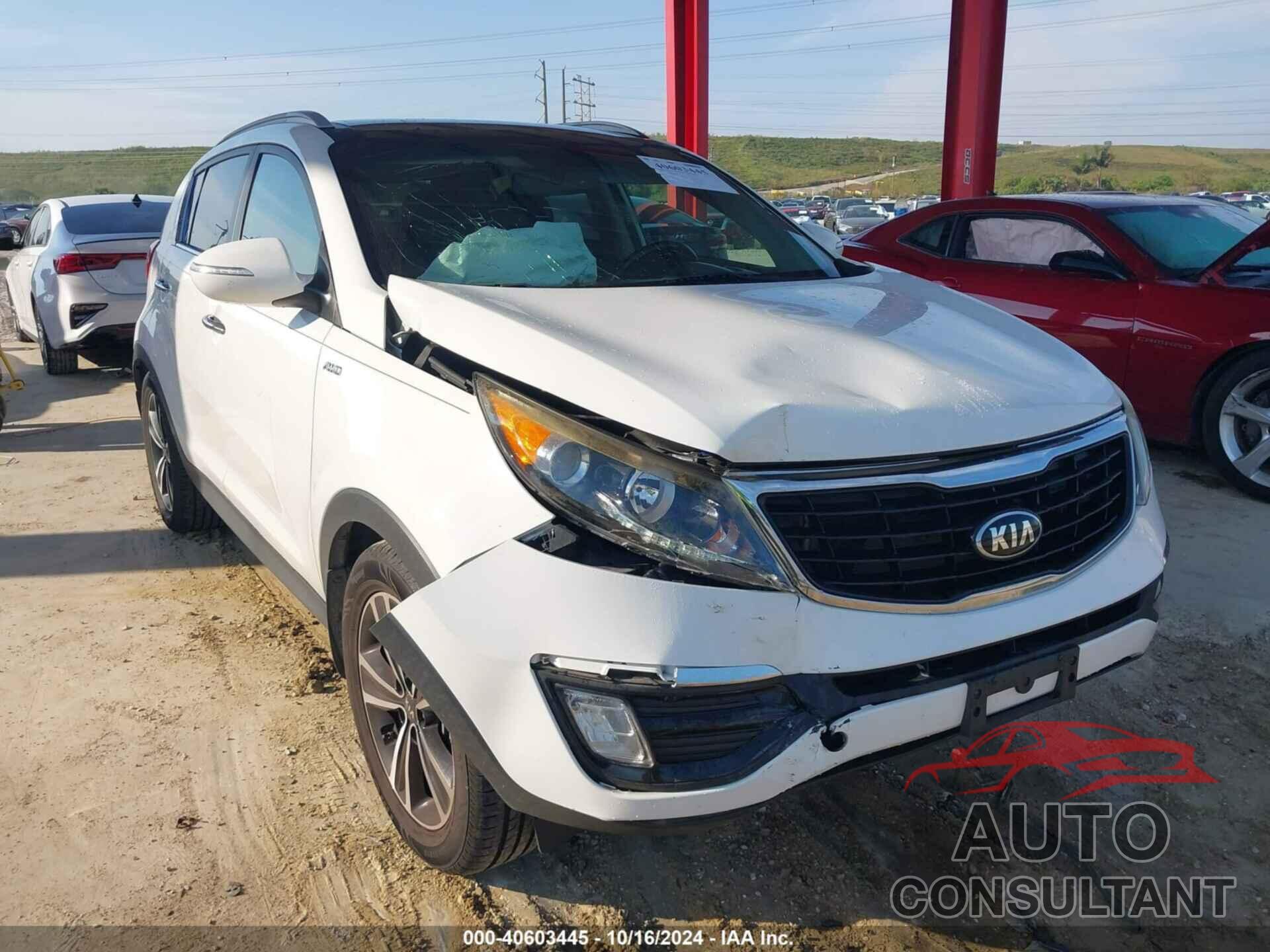 KIA SPORTAGE 2016 - KNDPCCA69G7808455