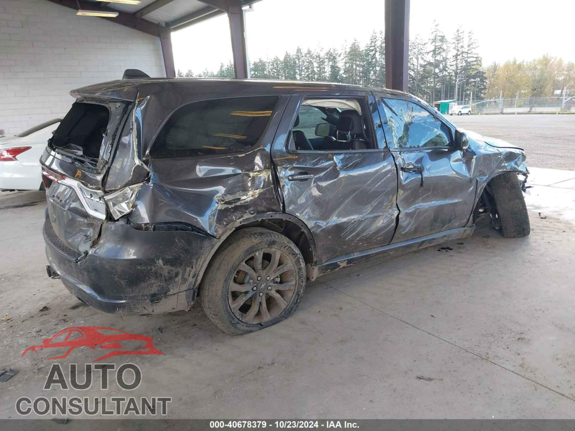 DODGE DURANGO 2019 - 1C4SDJCT3KC795541