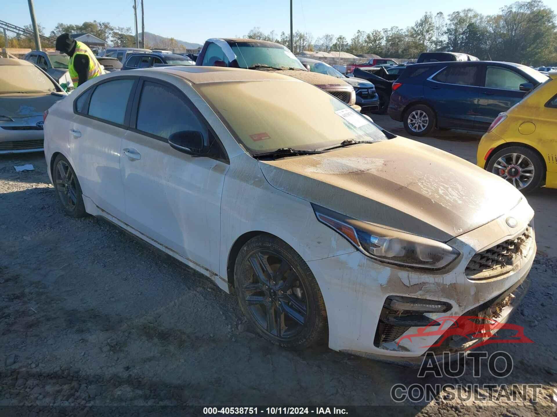 KIA FORTE 2020 - 3KPF34AD0LE250540