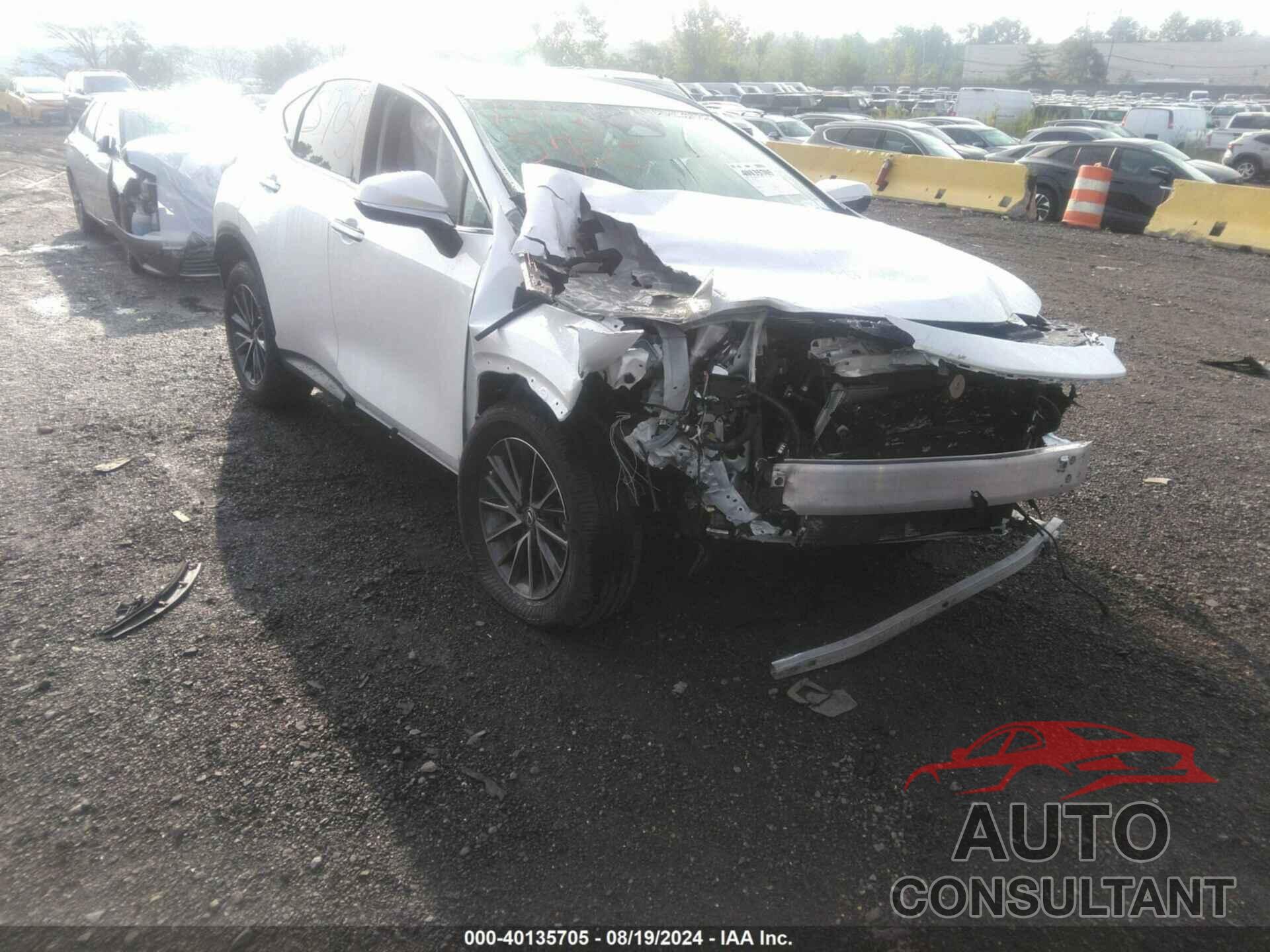 LEXUS NX 2025 - 2T2GKCEZ4SC031712