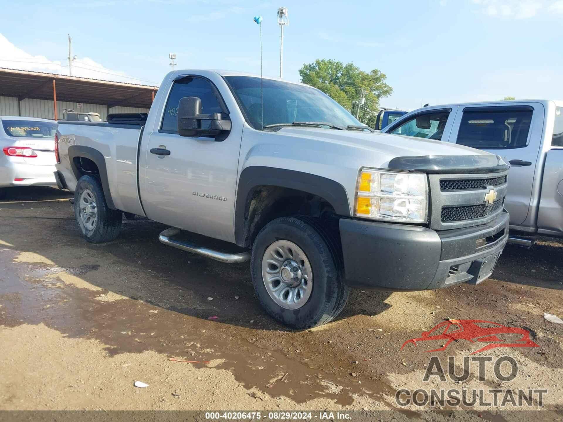CHEVROLET SILVERADO 1500 2010 - 1GCPKPEX4AZ191197
