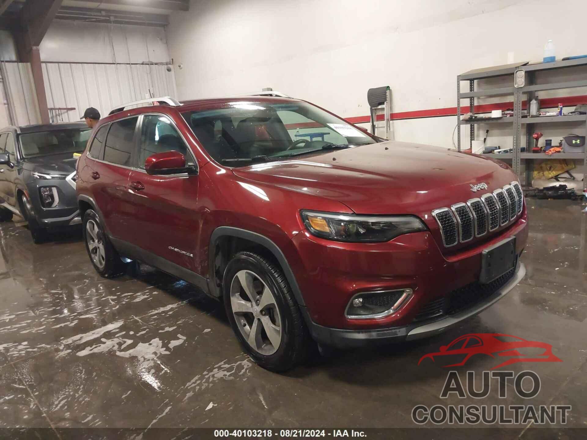 JEEP CHEROKEE 2019 - 1C4PJMDX0KD435770