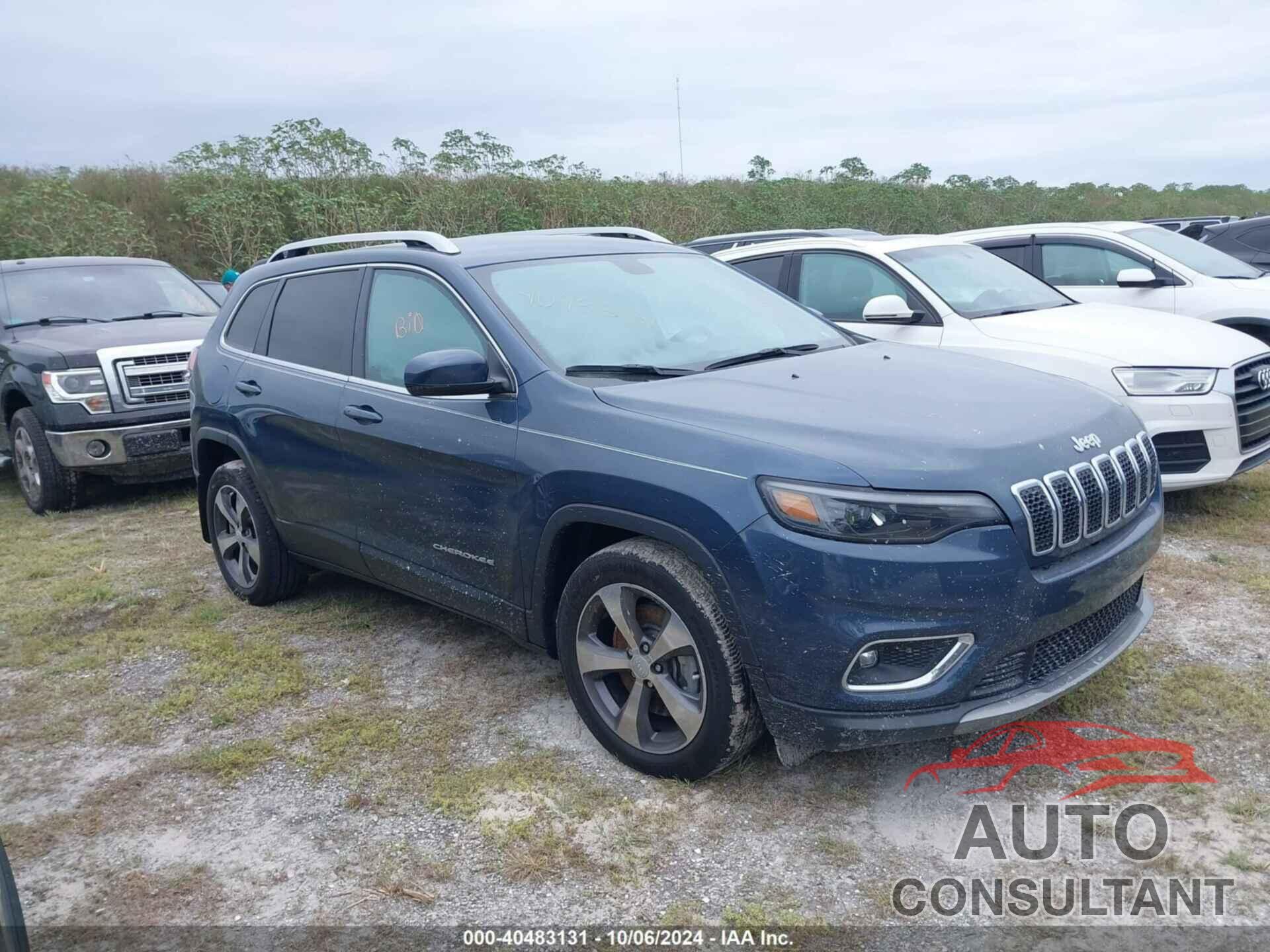 JEEP CHEROKEE 2020 - 1C4PJLDX3LD543120
