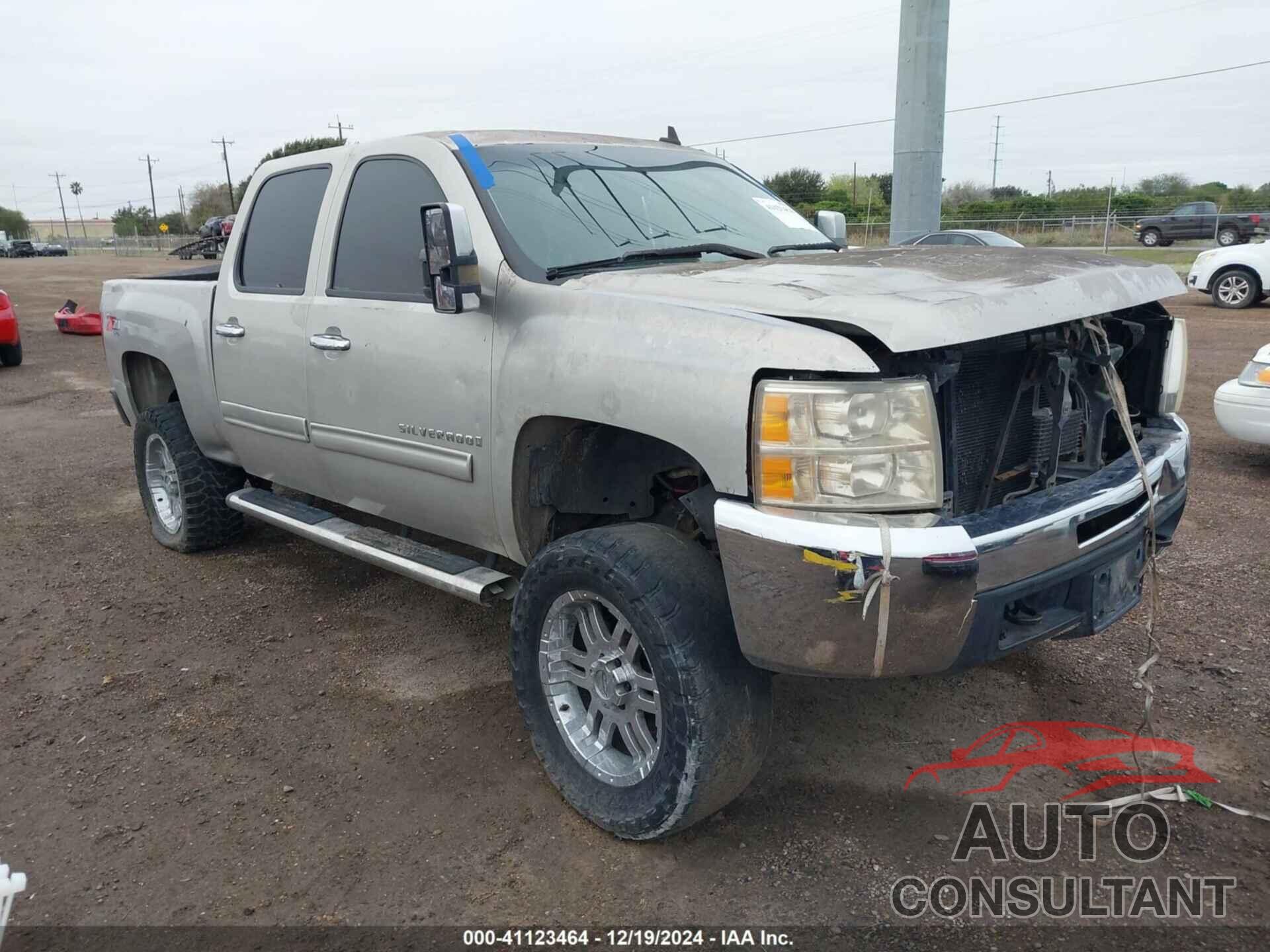 CHEVROLET SILVERADO 1500 2009 - 3GCEK23M59G109119