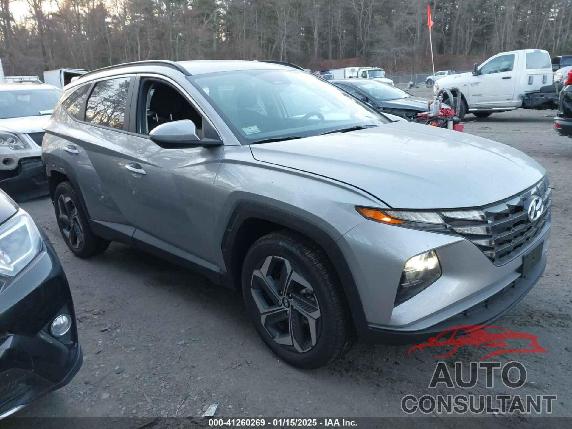 HYUNDAI TUCSON 2024 - 5NMJBCDE1RH428534