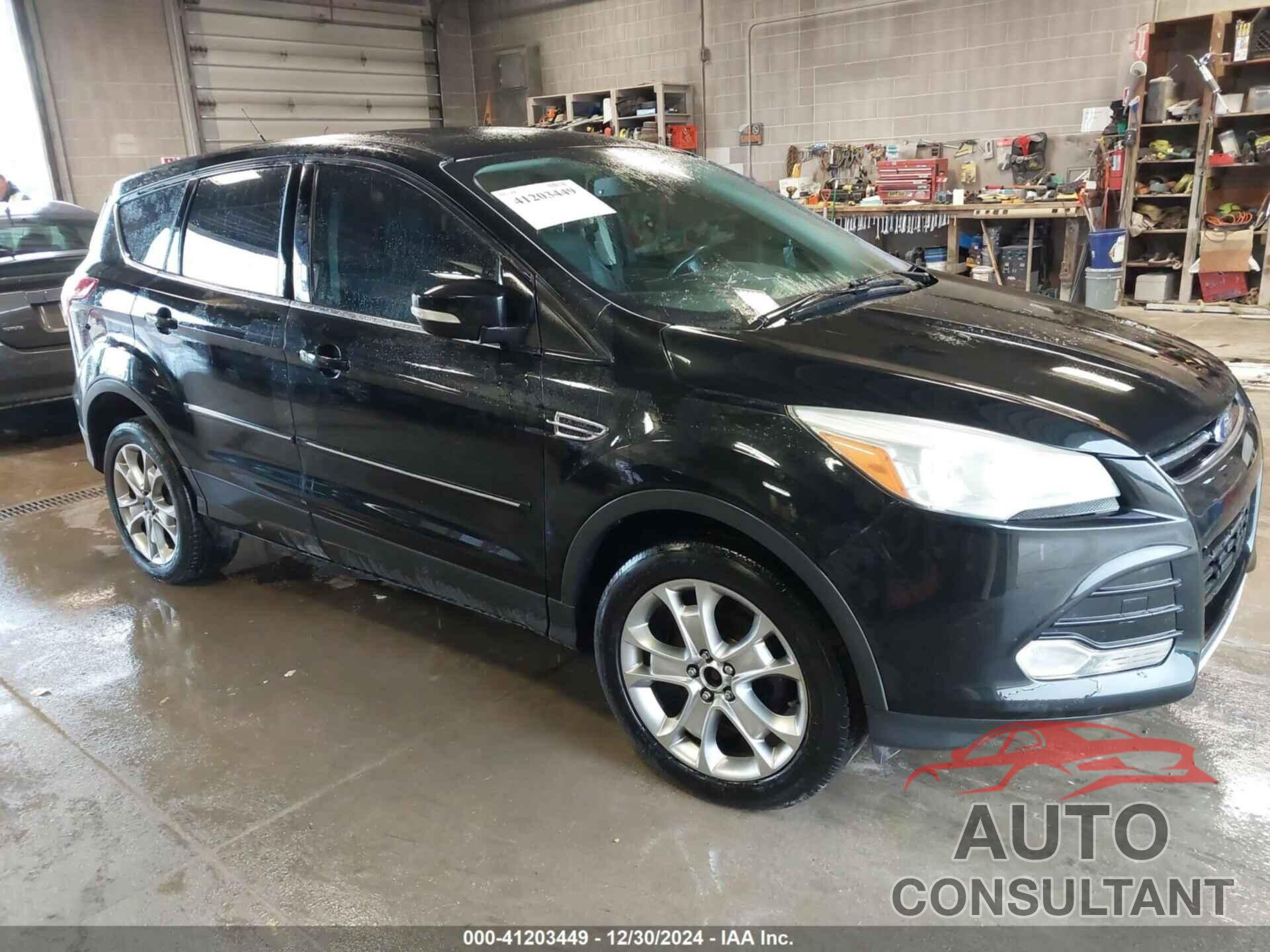FORD ESCAPE 2013 - 1FMCU0HX1DUC09924