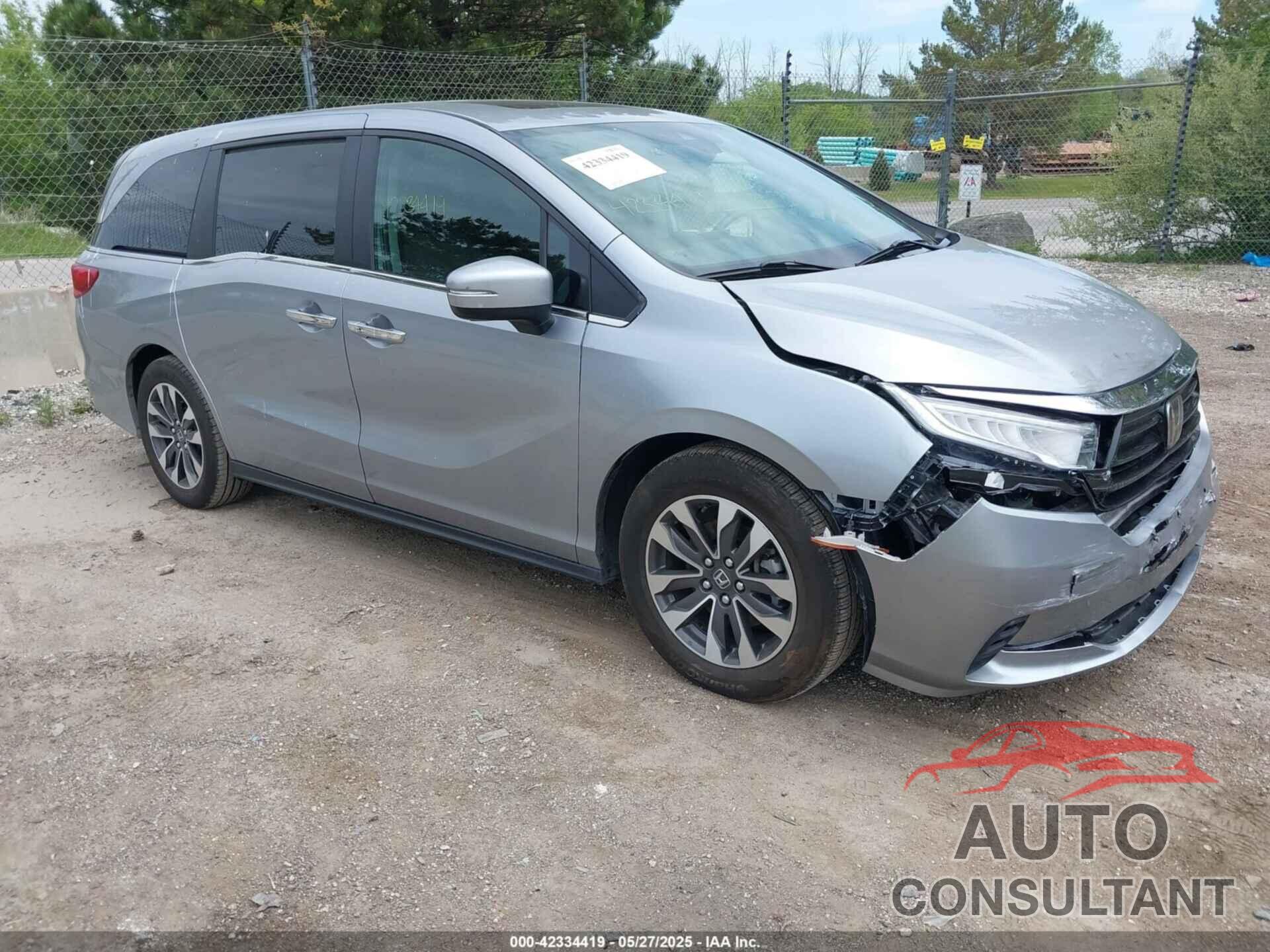 HONDA ODYSSEY 2024 - 5FNRL6H69RB061534